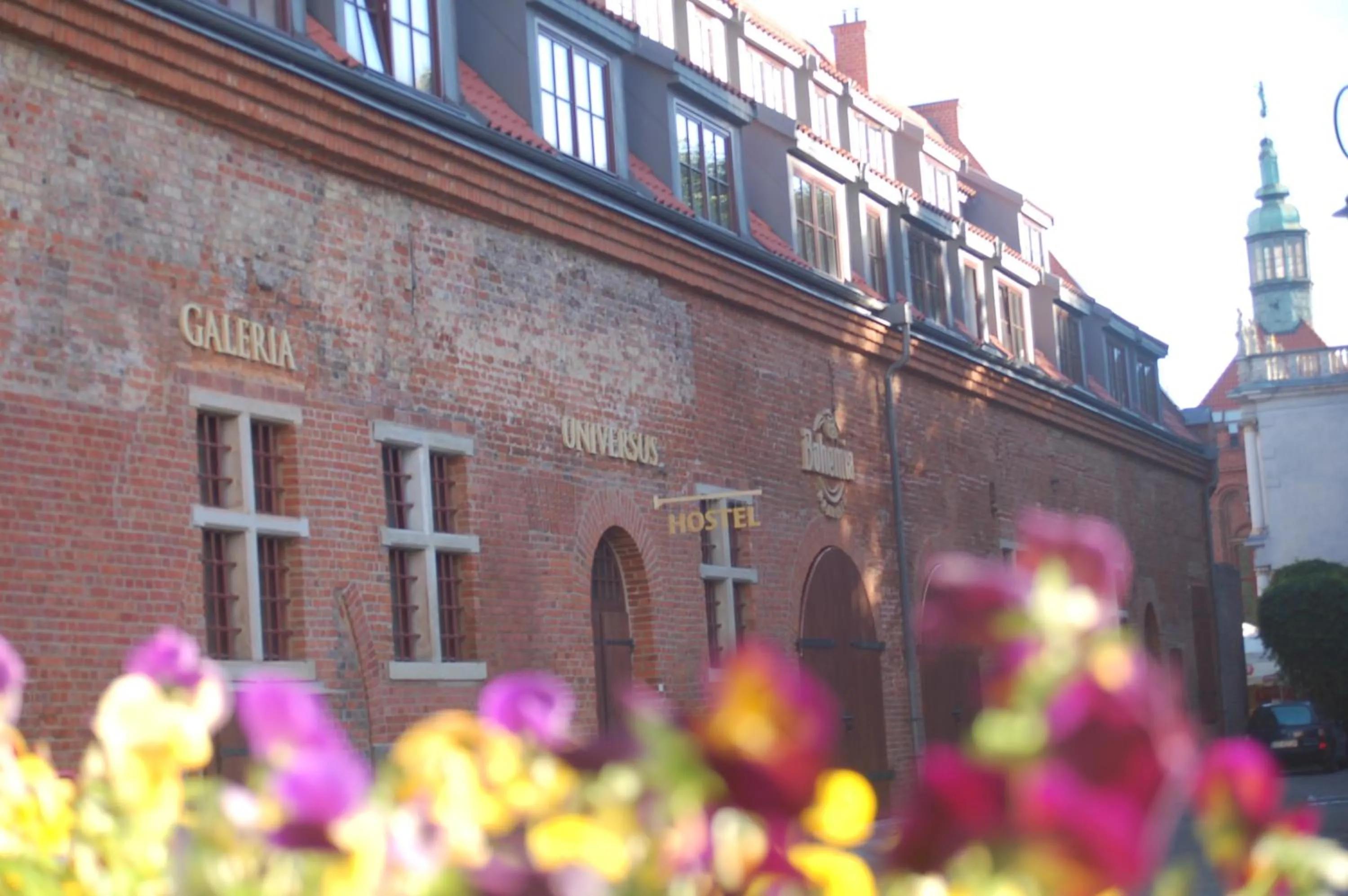Hostel Universus