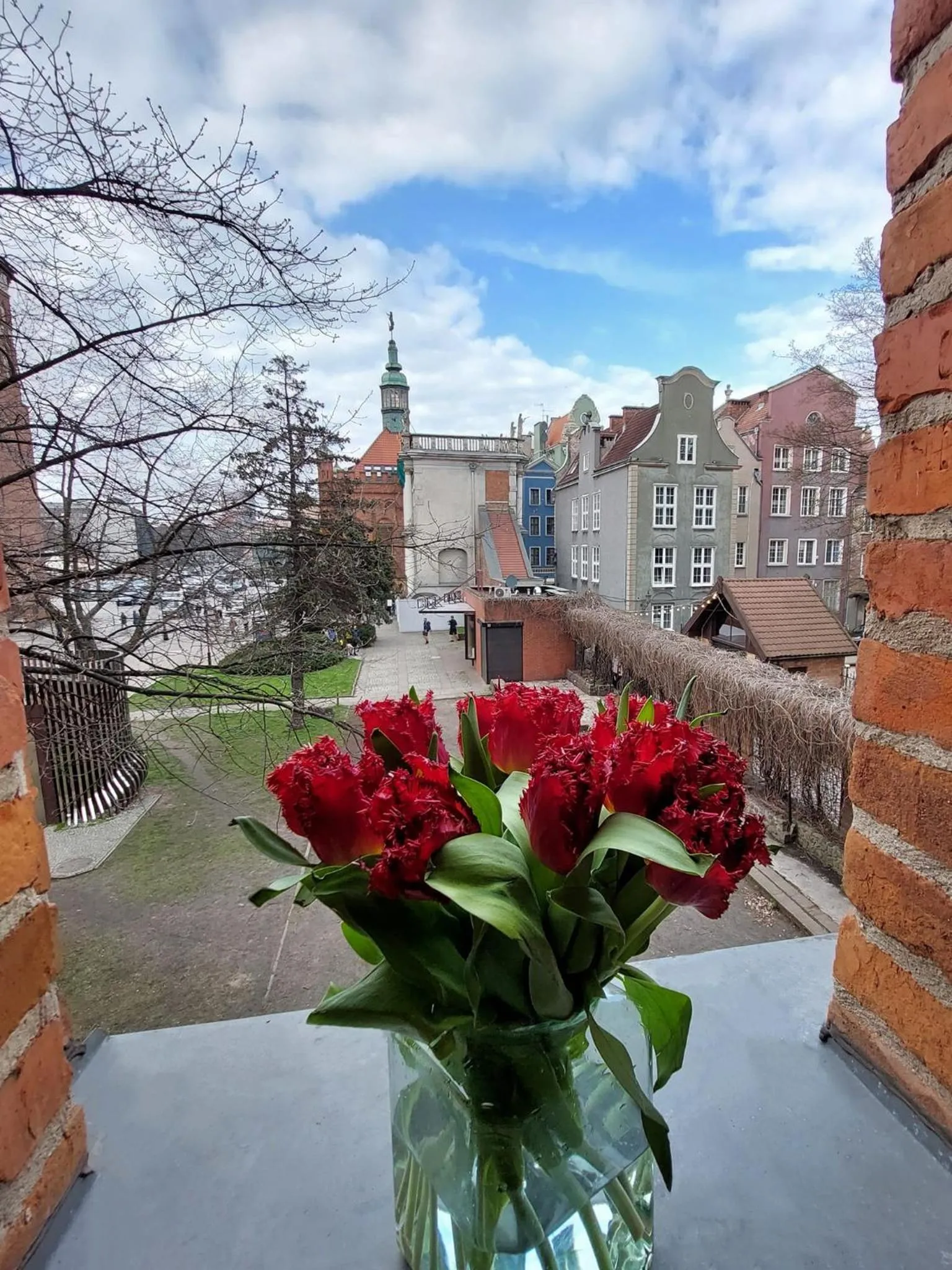 Hostel Universus