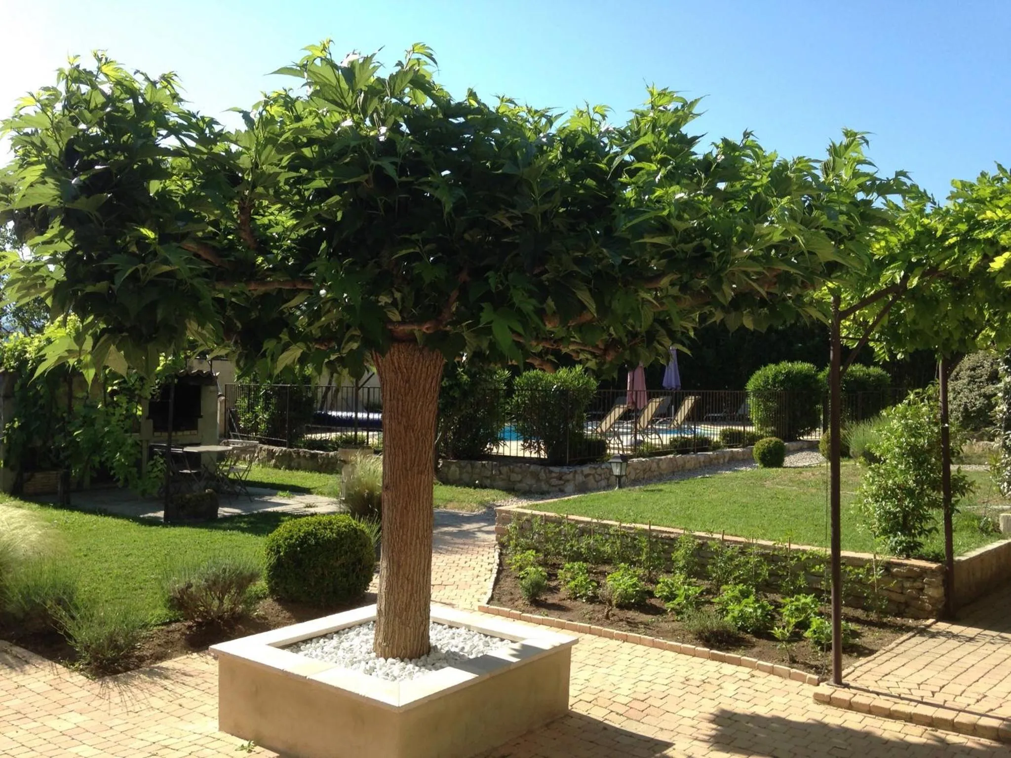 Natural landscape in Côté Lavande