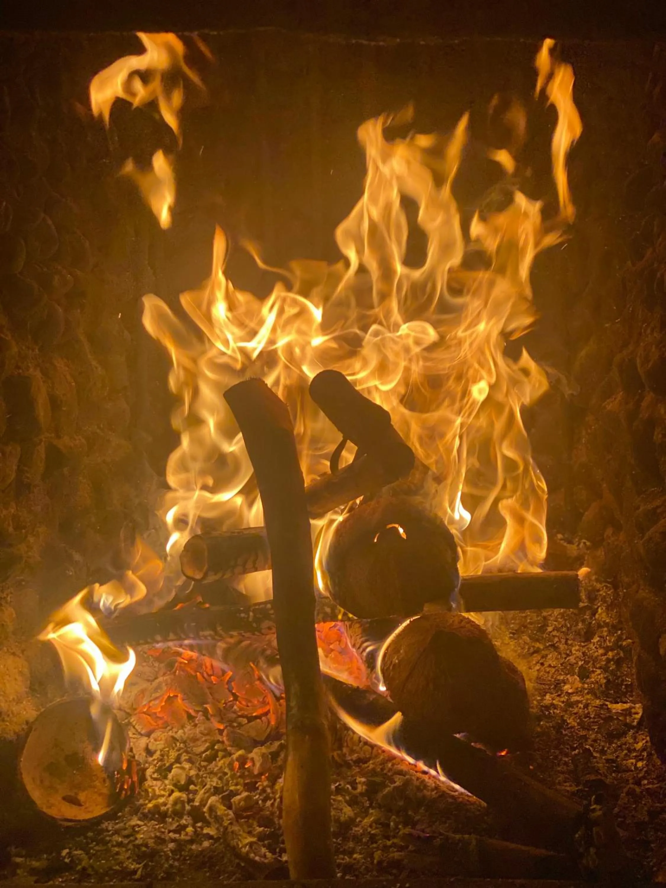 fireplace in travellers nest inn