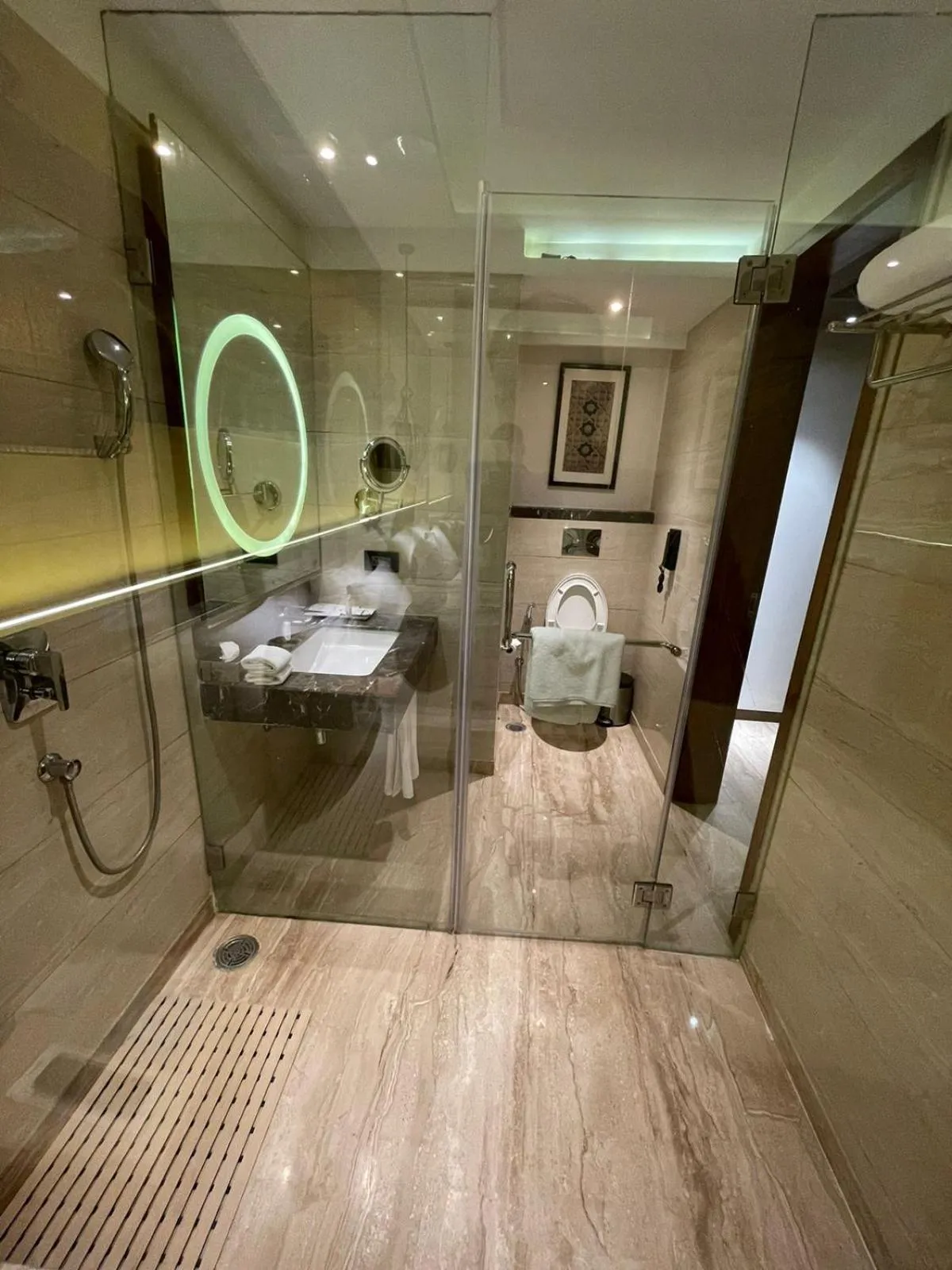 Toilet in Radisson Gwalior