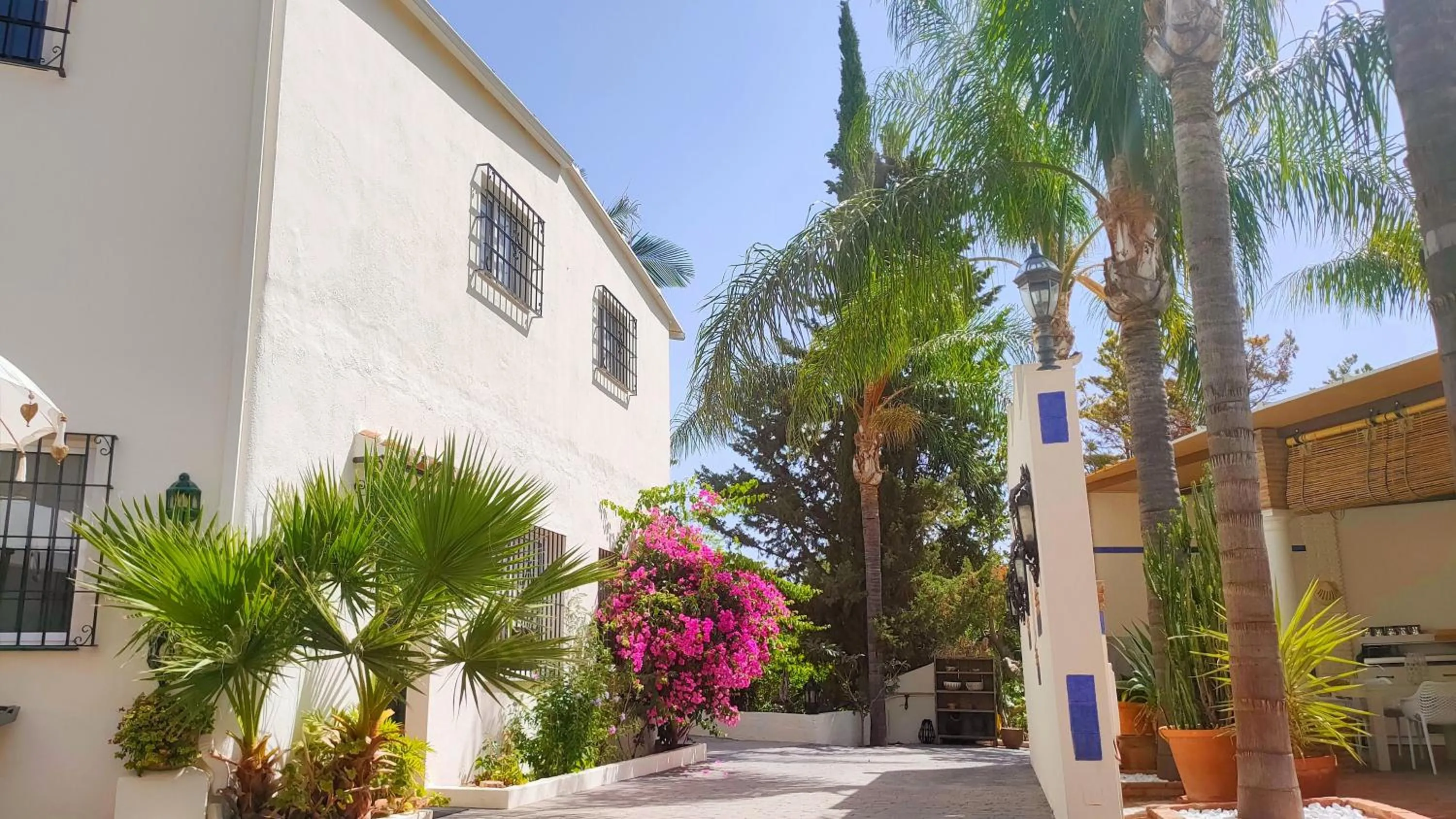 Finca La Vida Loca- For adult guests