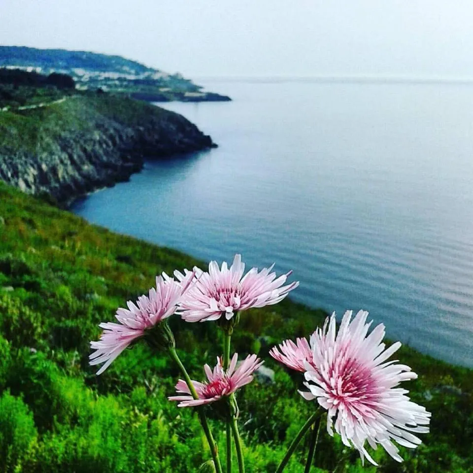 Other in Athena b&b Castro