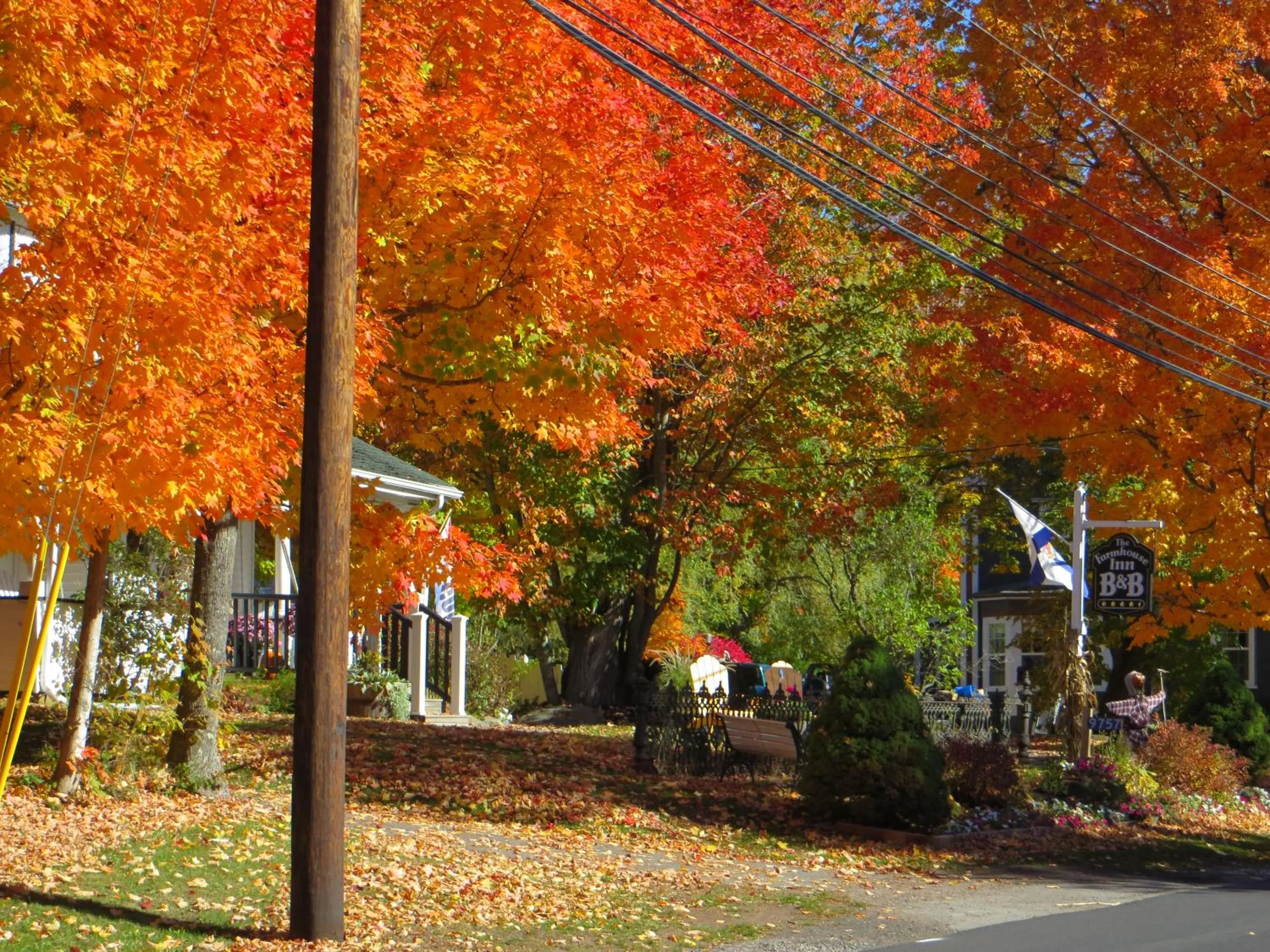 Garden in Farmhouse Inn B&B