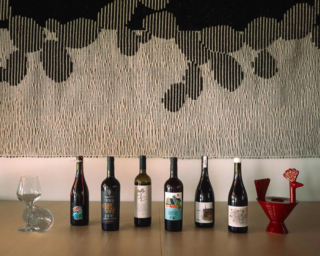 Lounge or bar in Janas Country Resort