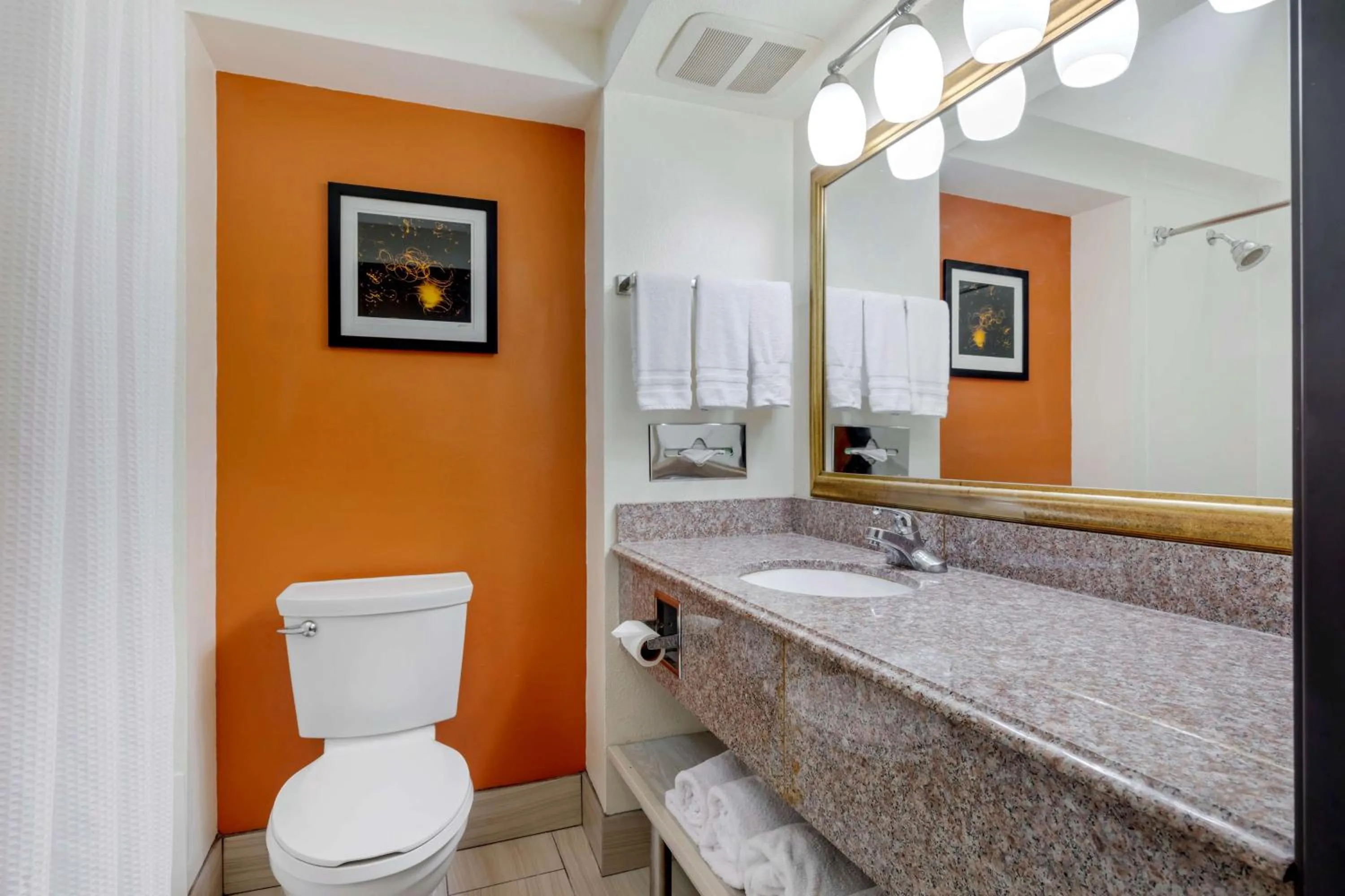 Bathroom in Best Western Plus Rockwall Inn & Suites