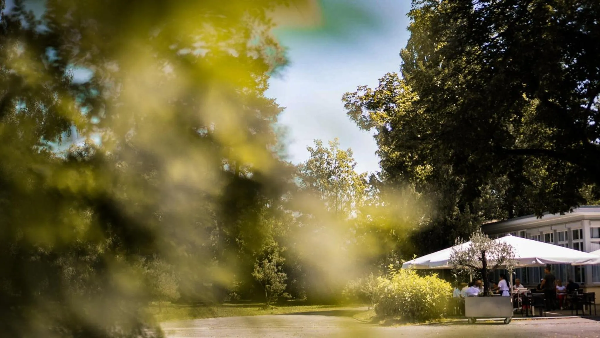 Garden in Bata Club Haus