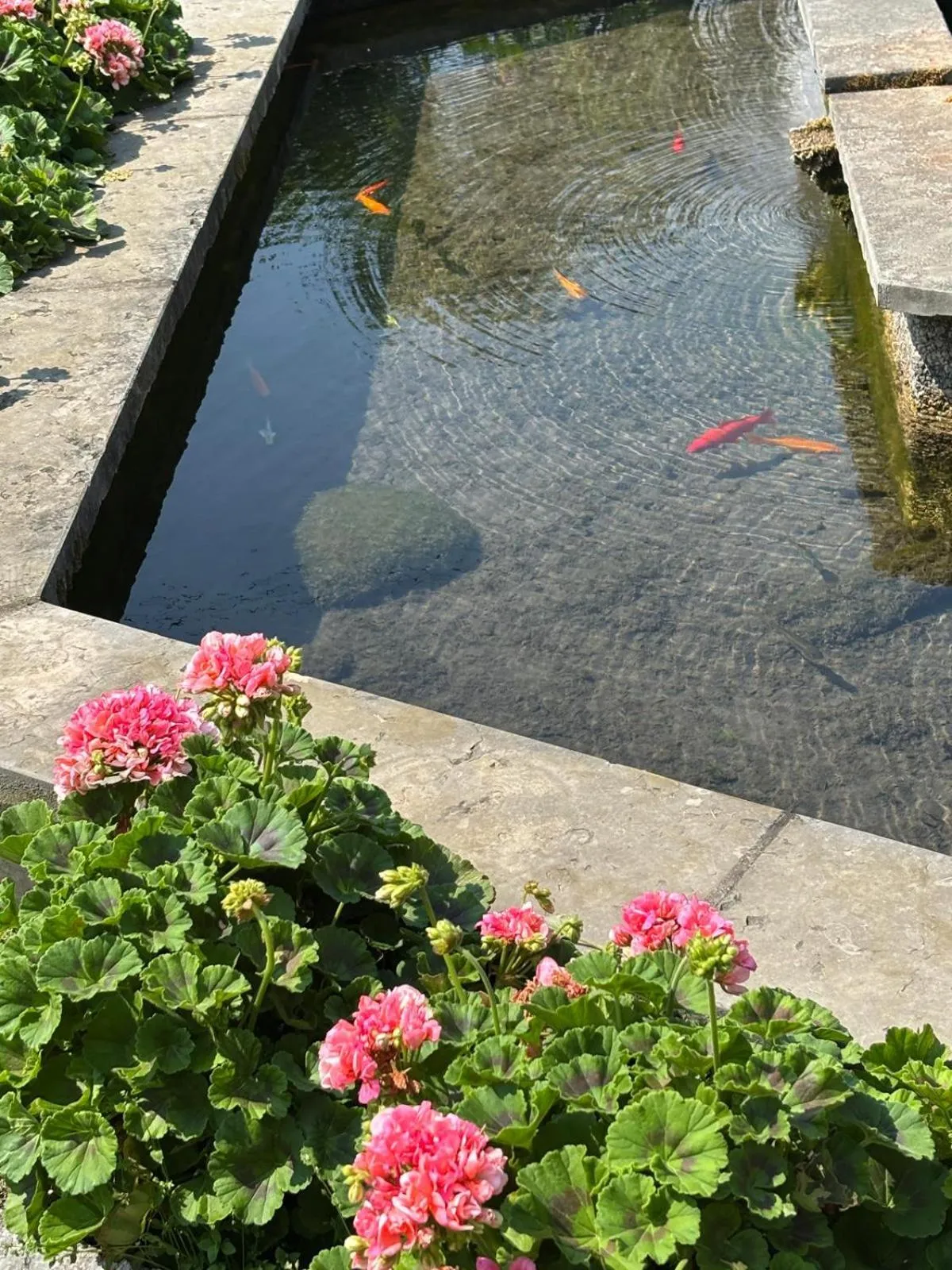 Natural landscape in Hotel San Carlo