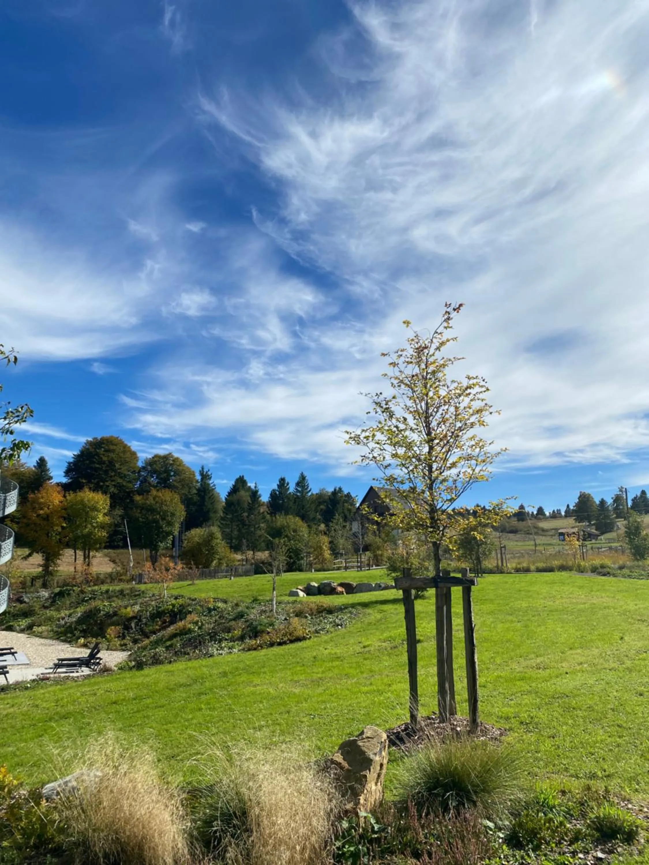 Hiking in Hotel Restaurant Mont Champ du Feu