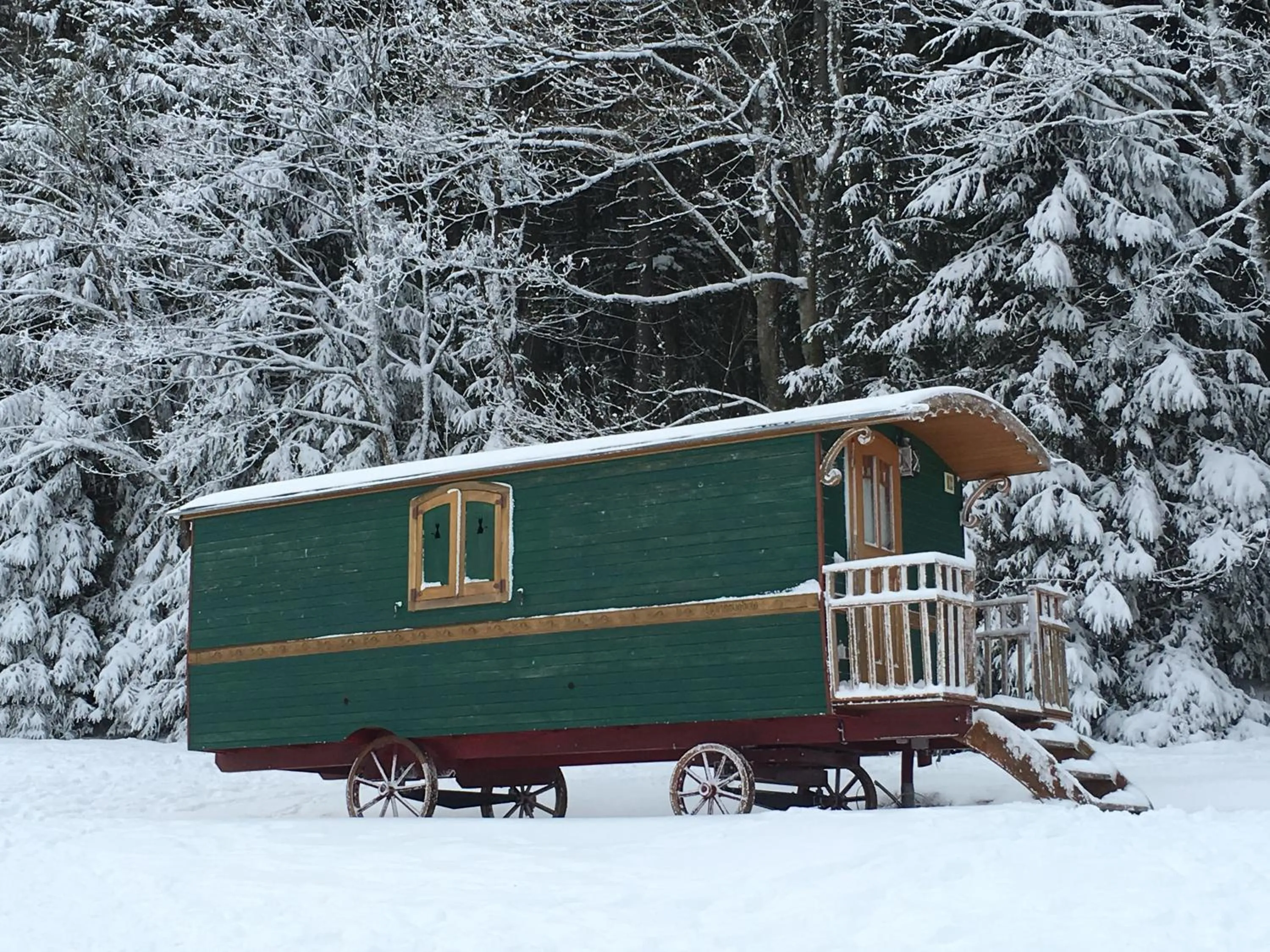 View (from property/room) in Hotel Restaurant Mont Champ du Feu