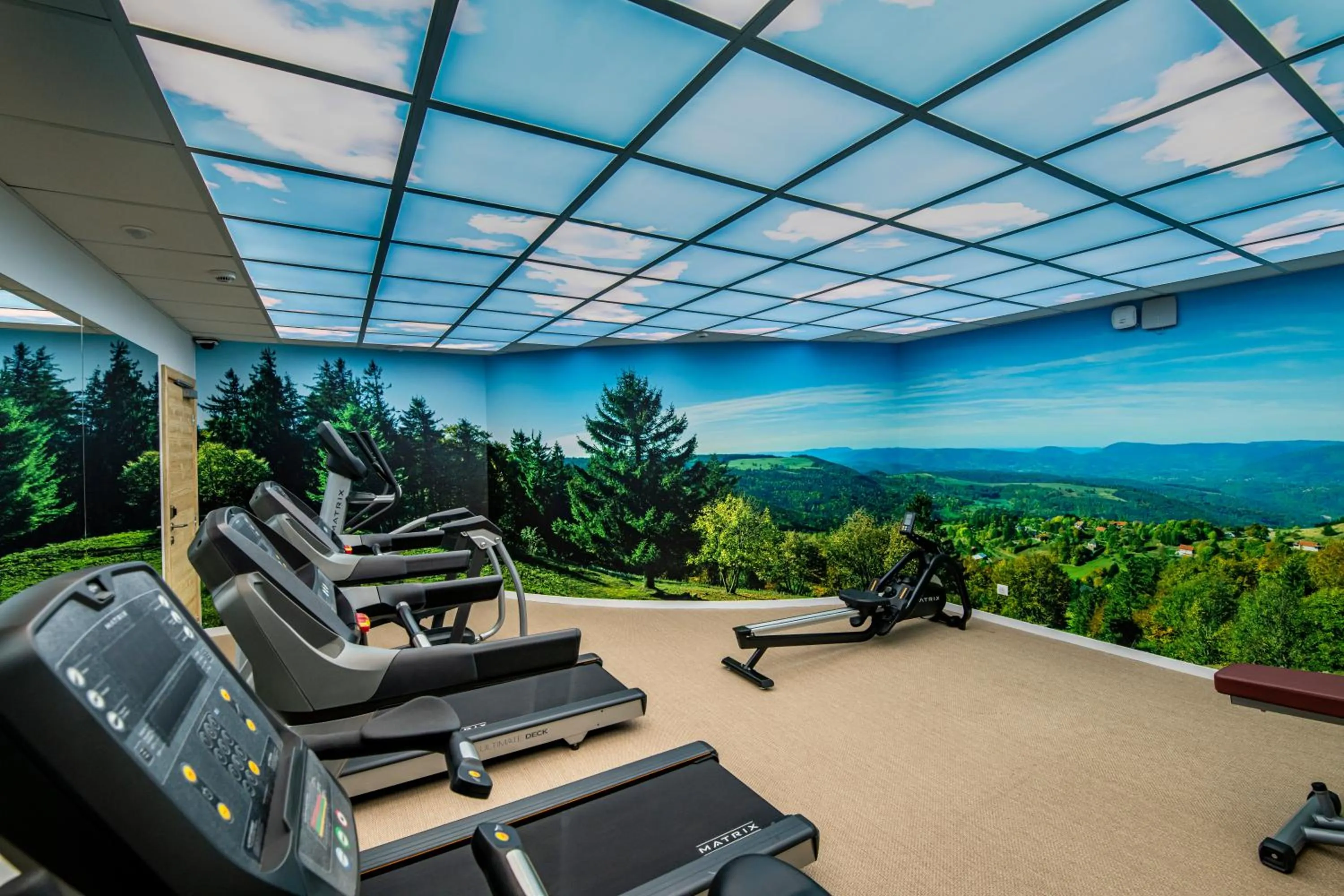 Fitness centre/facilities in Hotel Restaurant Mont Champ du Feu