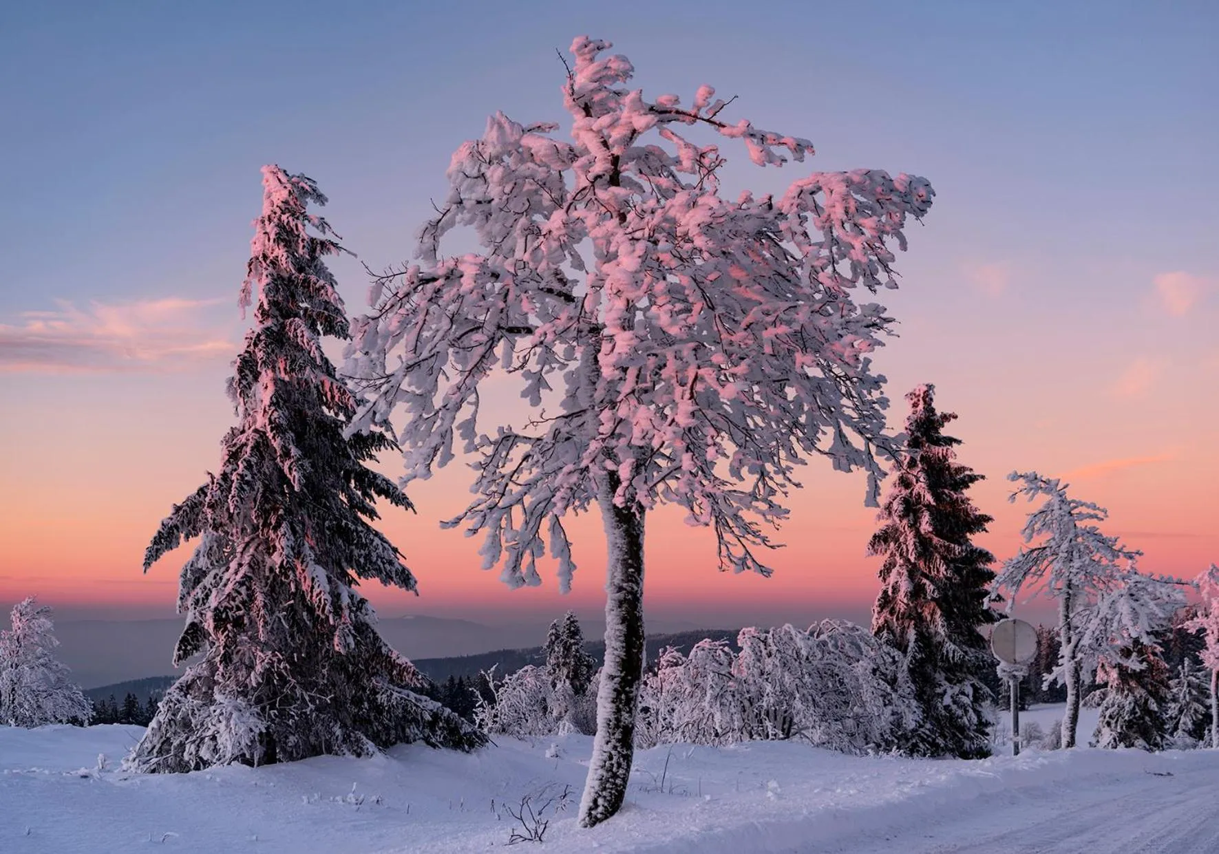 Winter in Hotel Restaurant Mont Champ du Feu