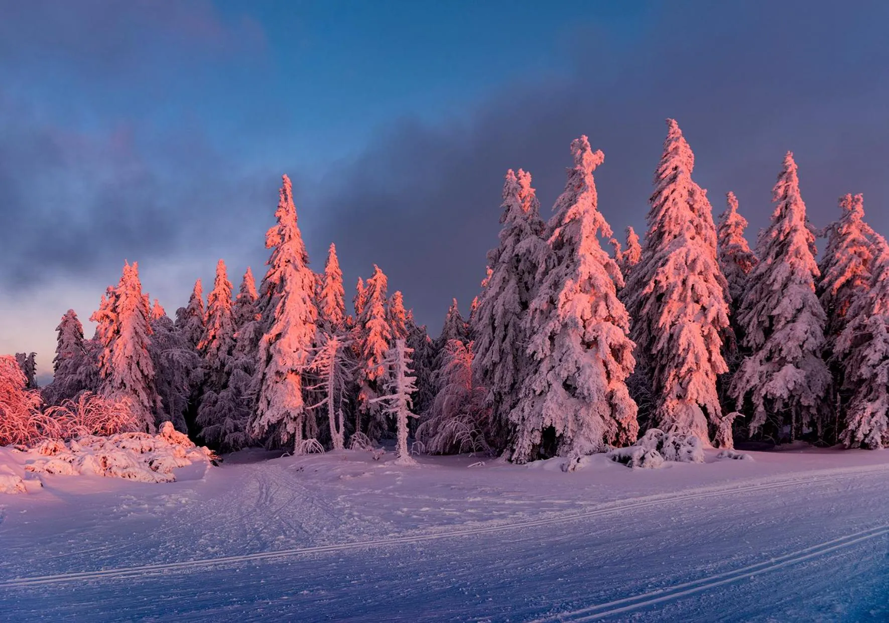 Winter in Hotel Restaurant Mont Champ du Feu