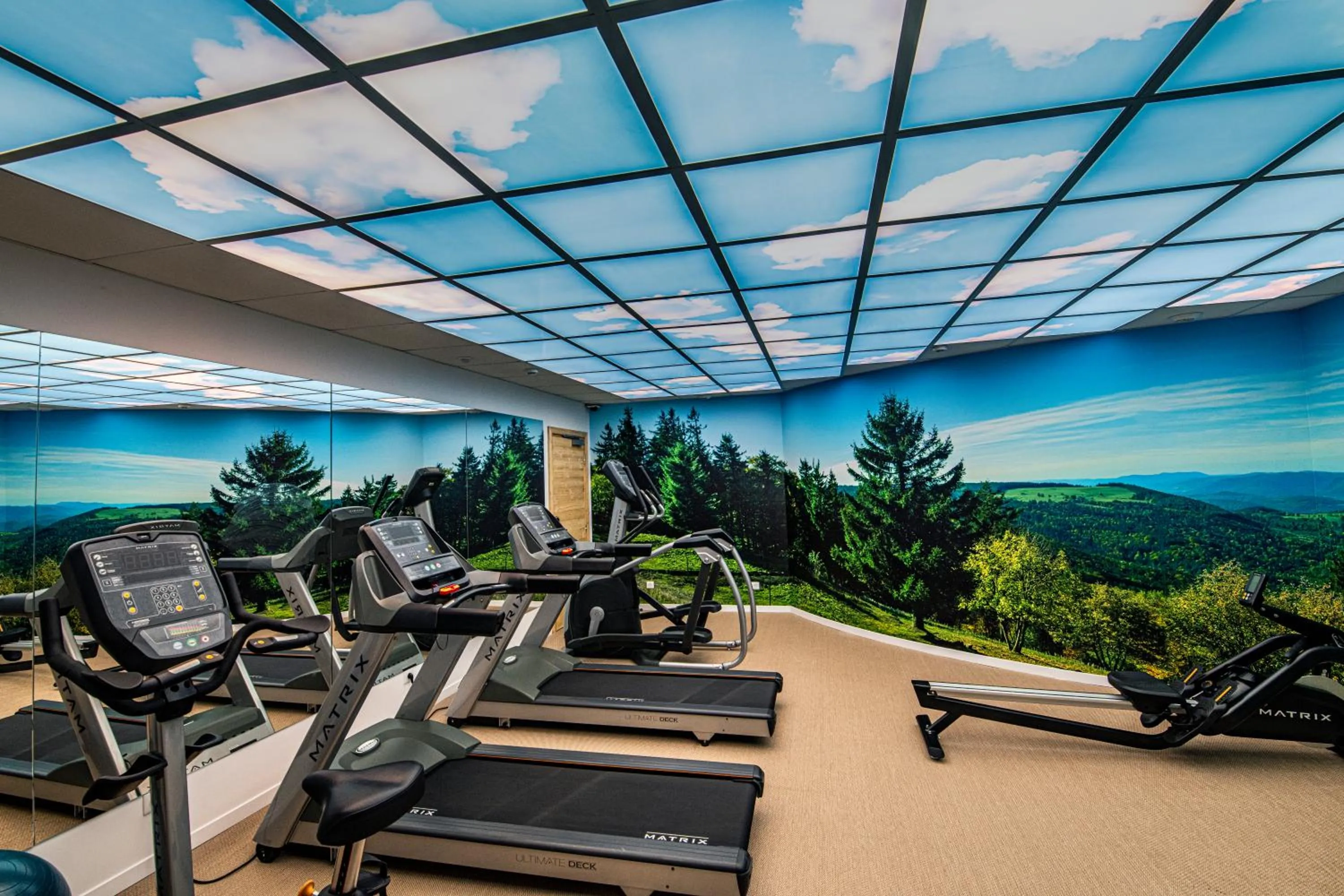 Fitness centre/facilities in Hotel Restaurant Mont Champ du Feu