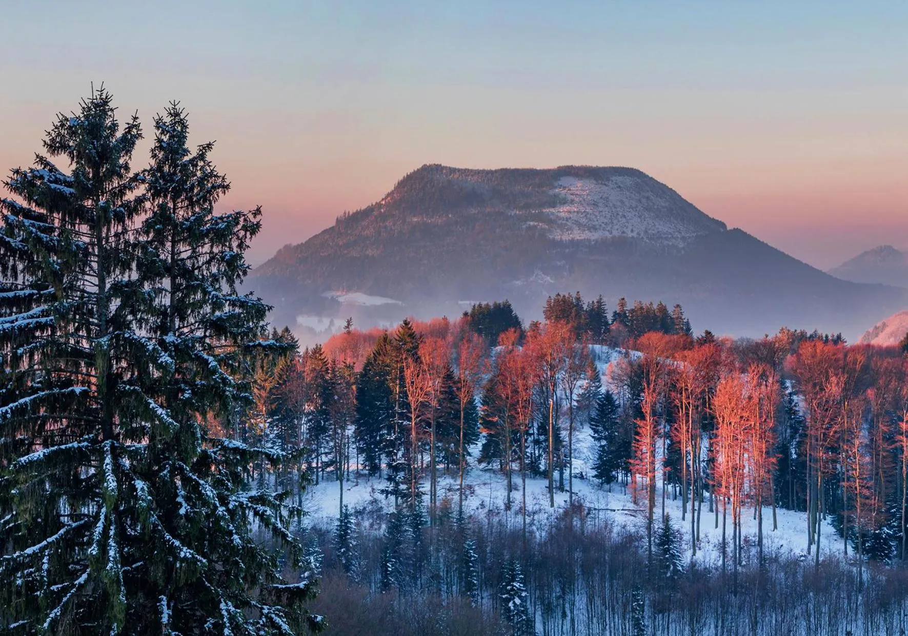 Winter in Hotel Restaurant Mont Champ du Feu