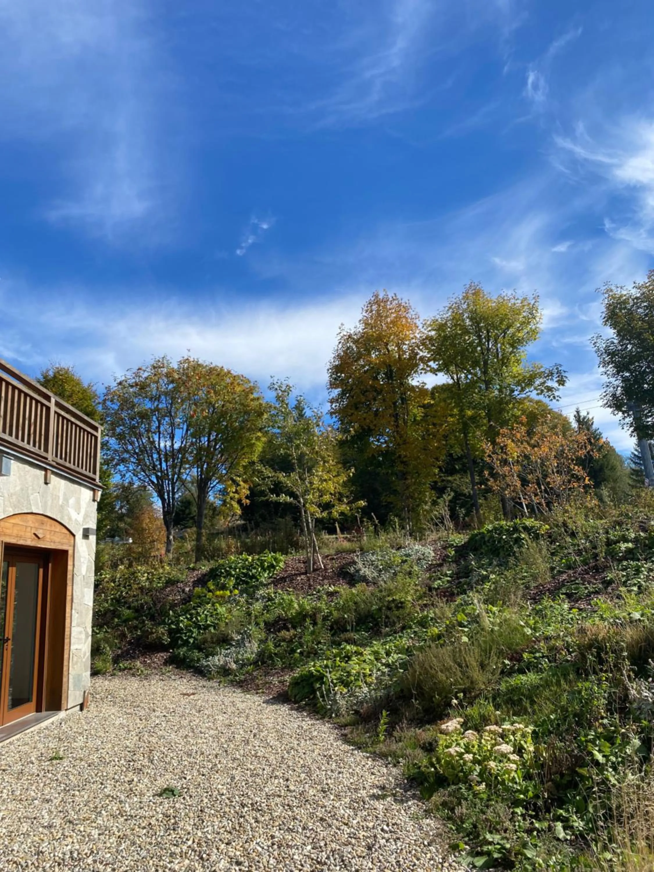 Garden in Hotel Restaurant Mont Champ du Feu