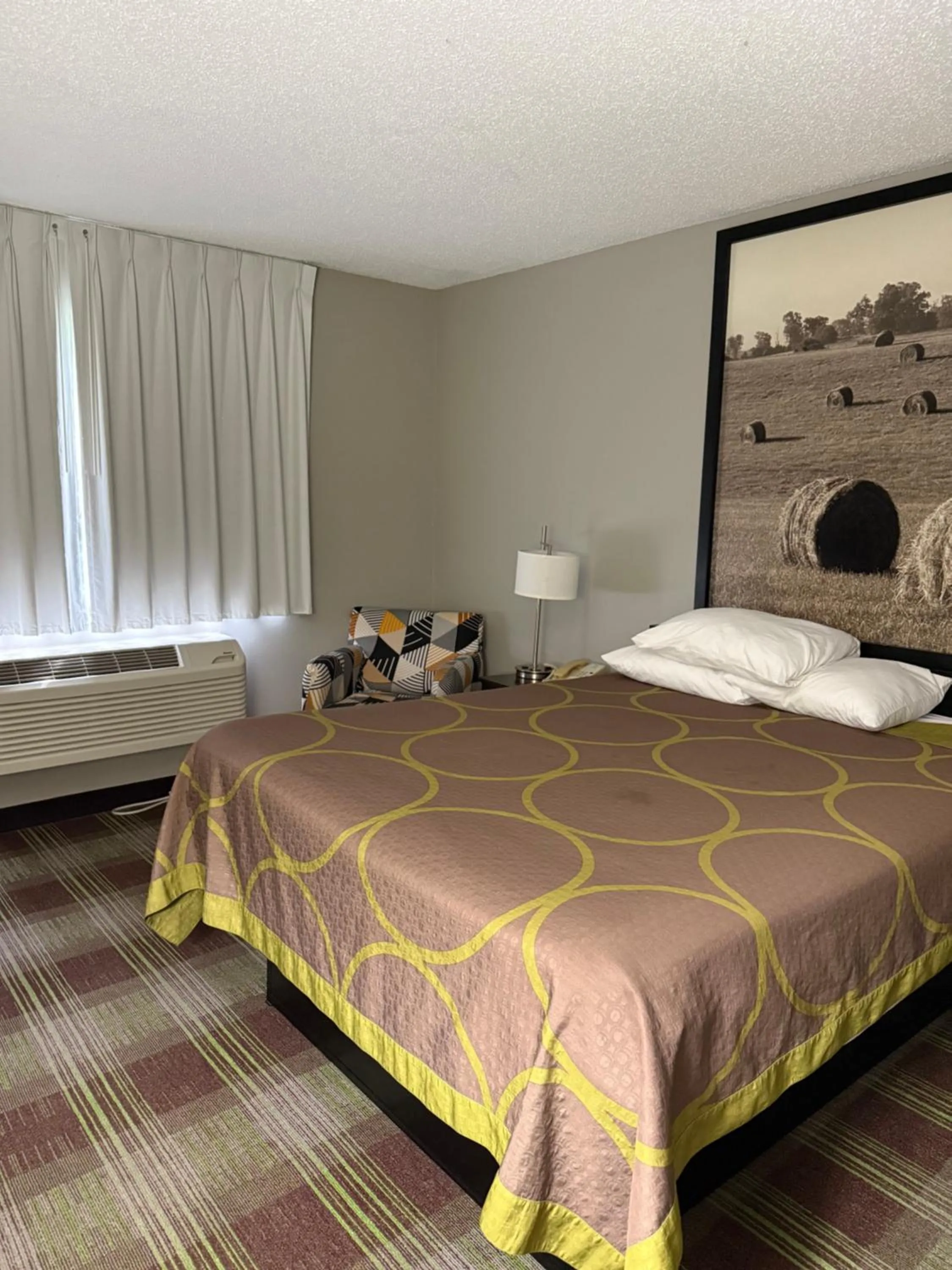 Bed in Super 8 by Wyndham Campbellsville KY