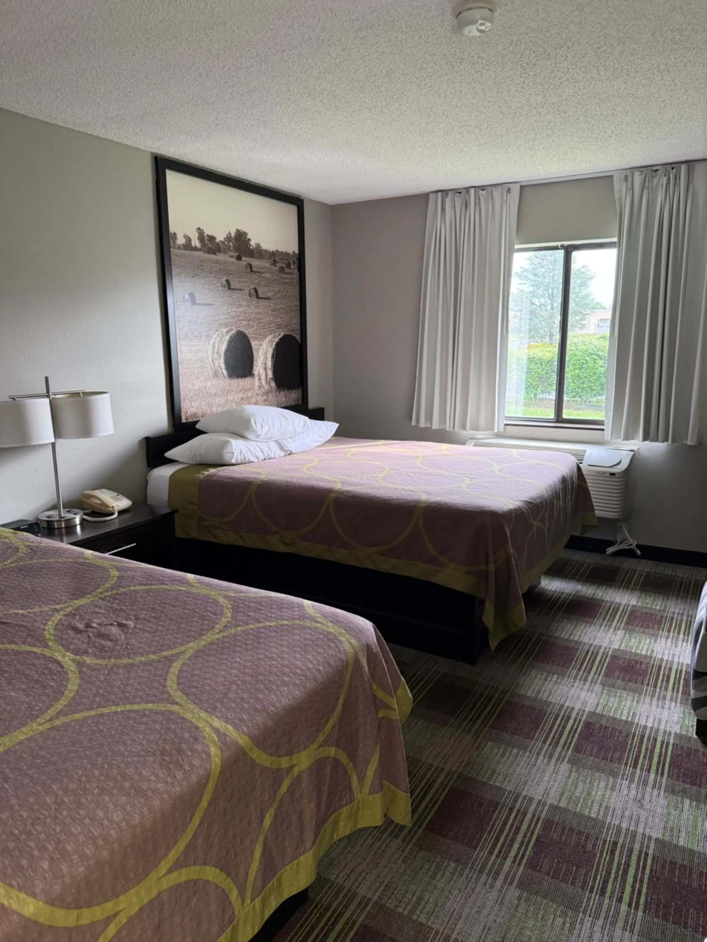 Bed in Super 8 by Wyndham Campbellsville KY