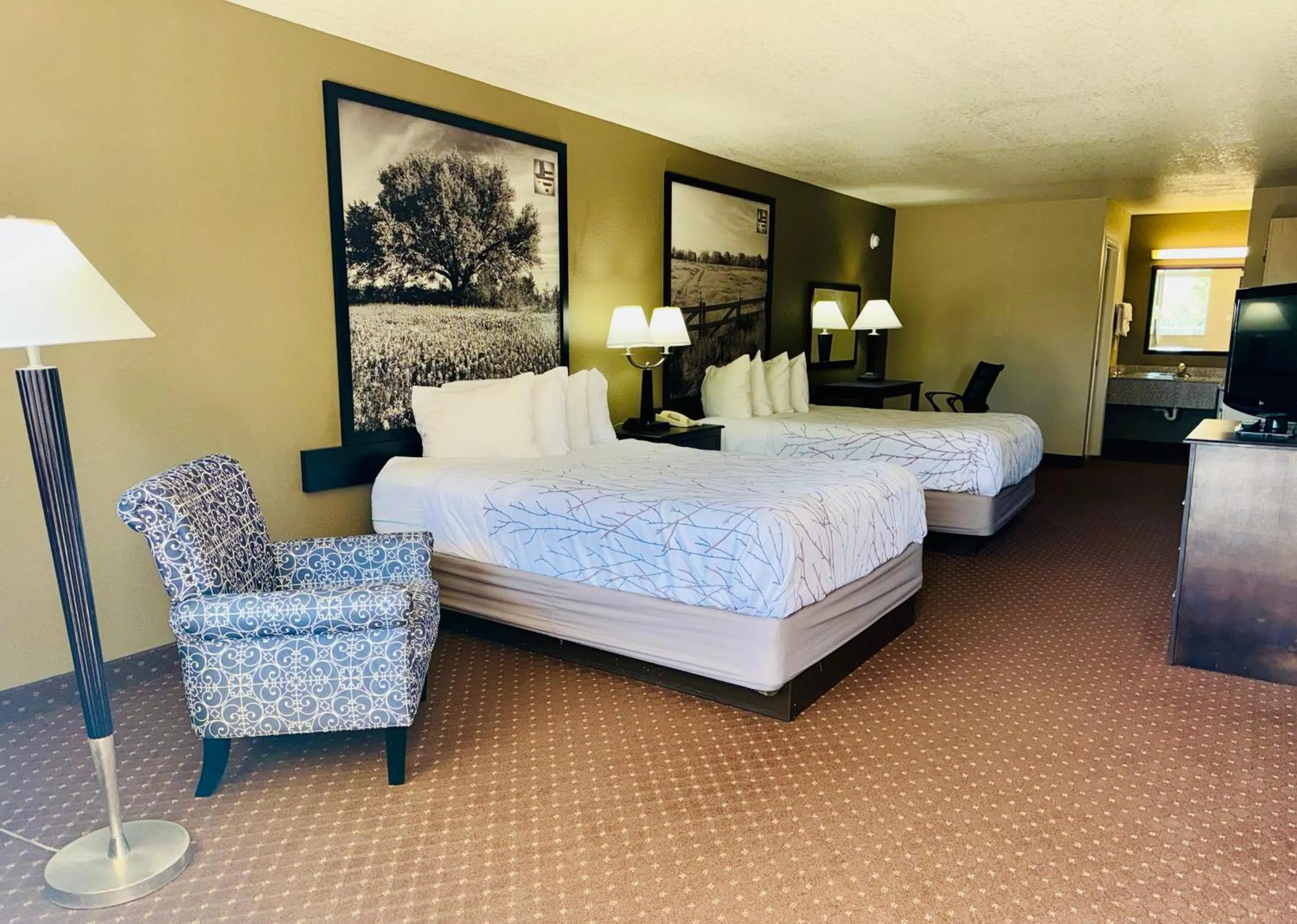 Bed in Hill Country Inn & Suites - New Braunfels, Gruene