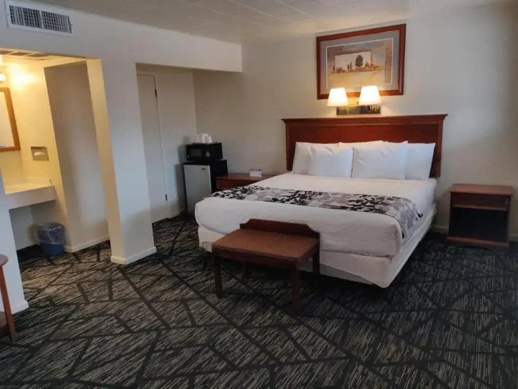 Standard King Room in Skyline Motor Inn Standard King Room in Skyline Motor Inn