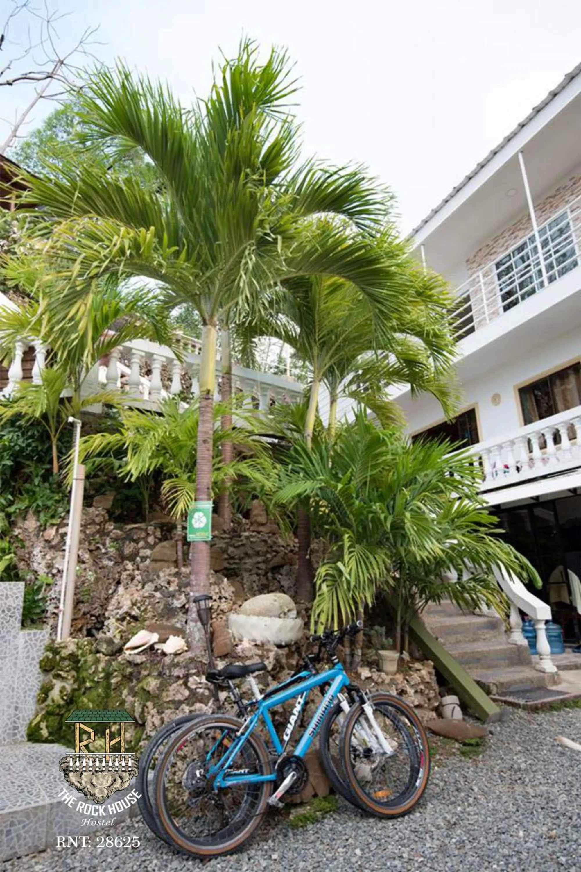 Garden view in The Rock House Eco