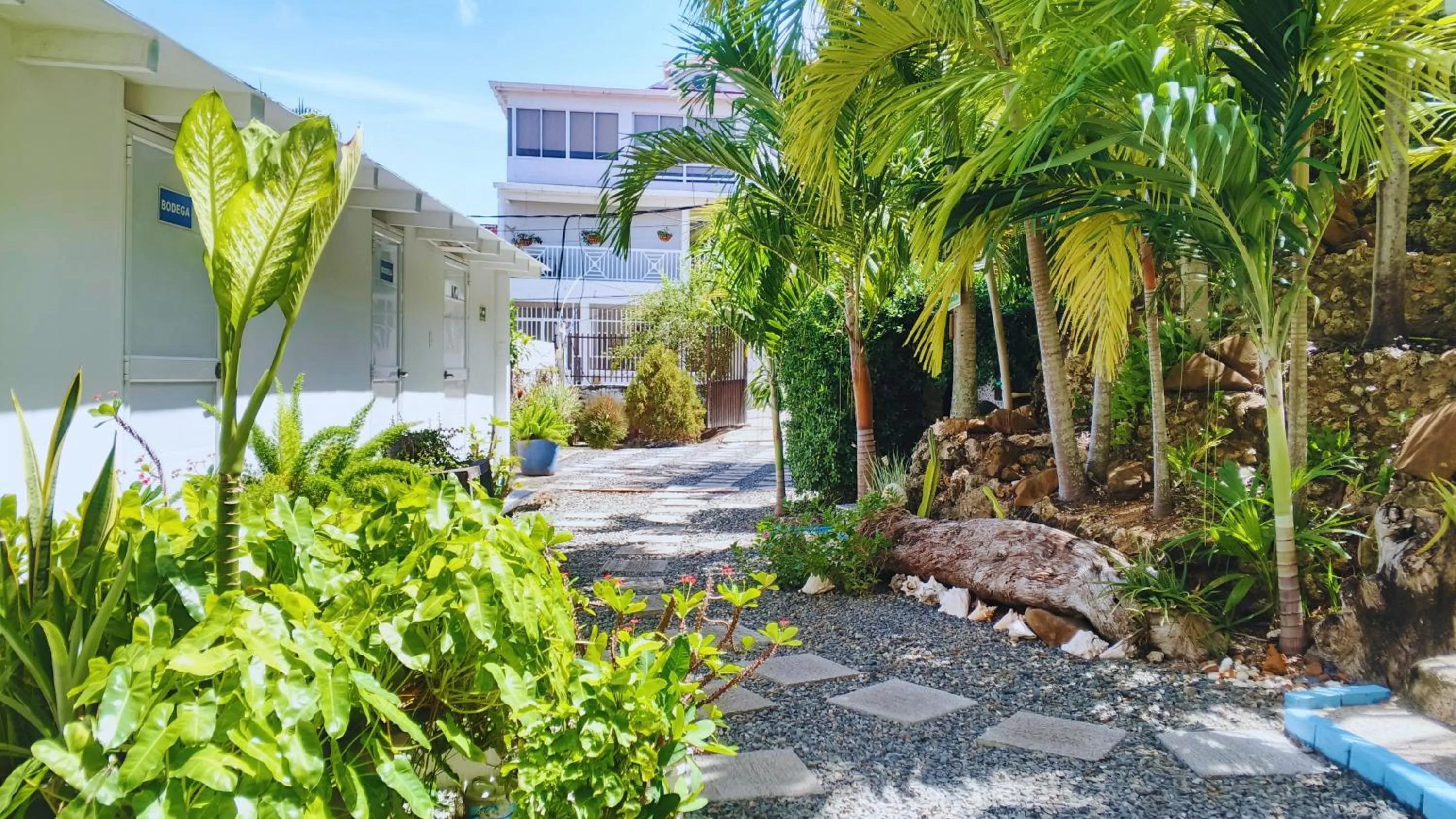 Garden in The Rock House Eco