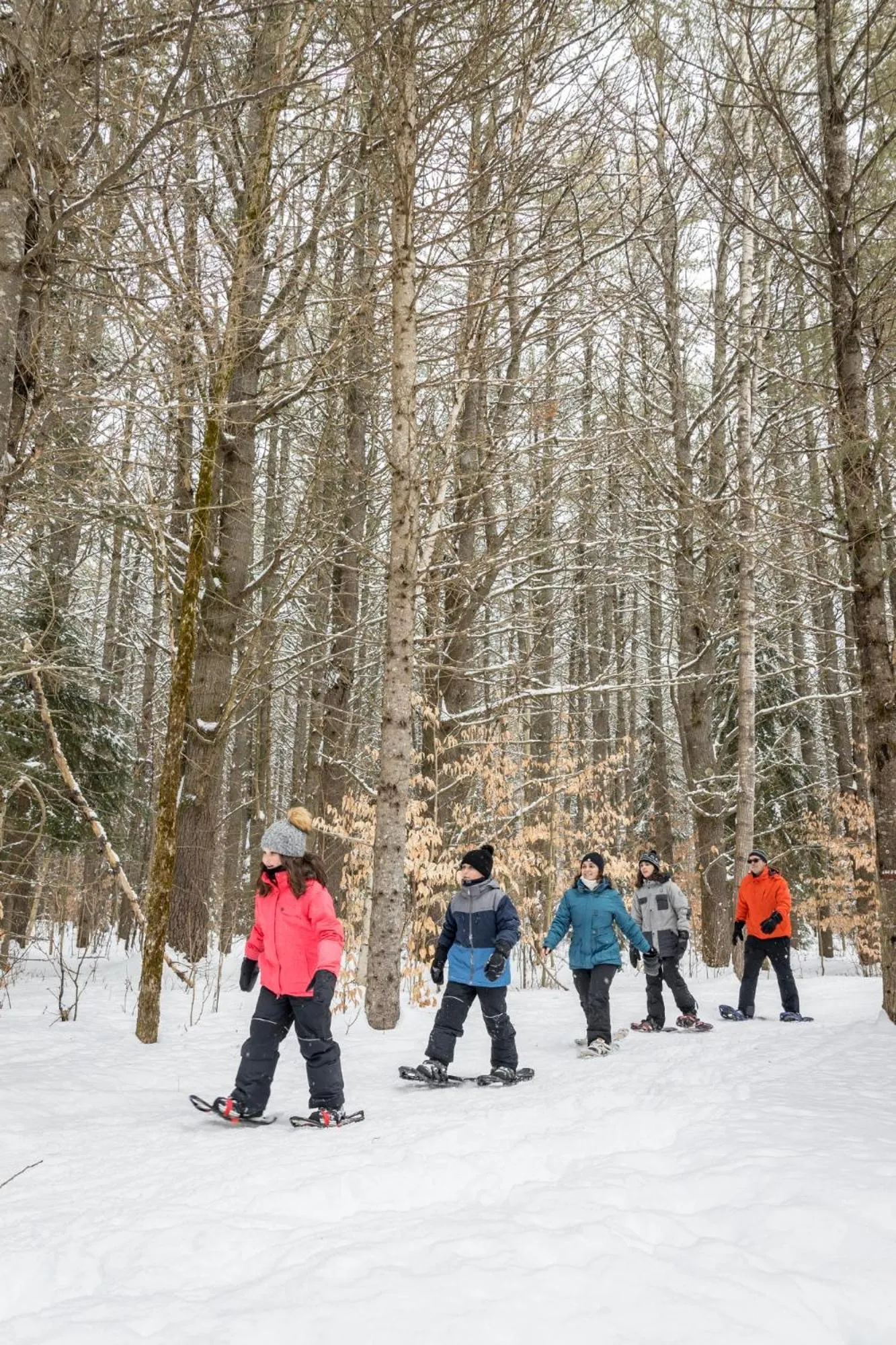 Activities in Station Touristique Duchesnay - Sepaq