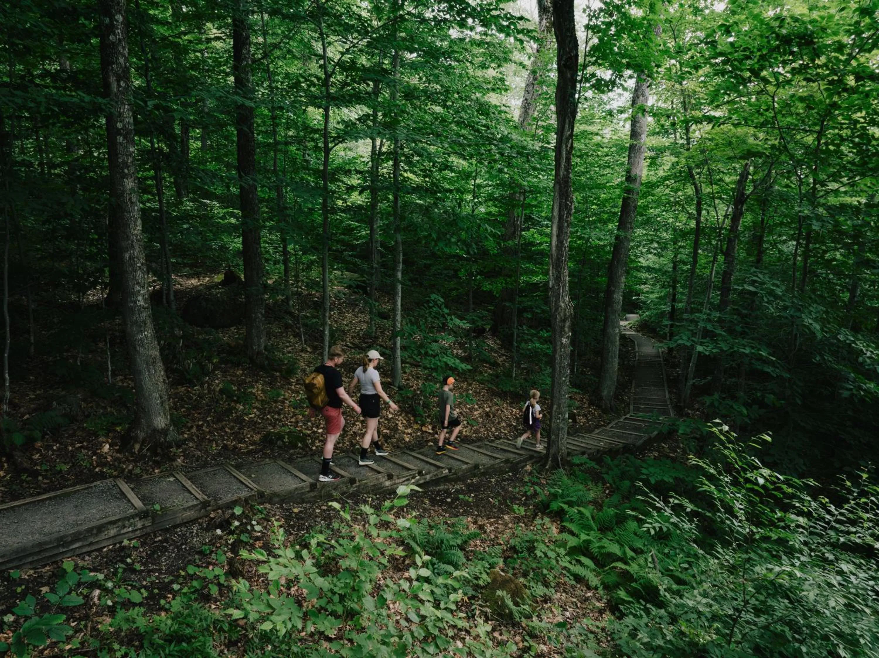 Hiking in Station Touristique Duchesnay - Sepaq