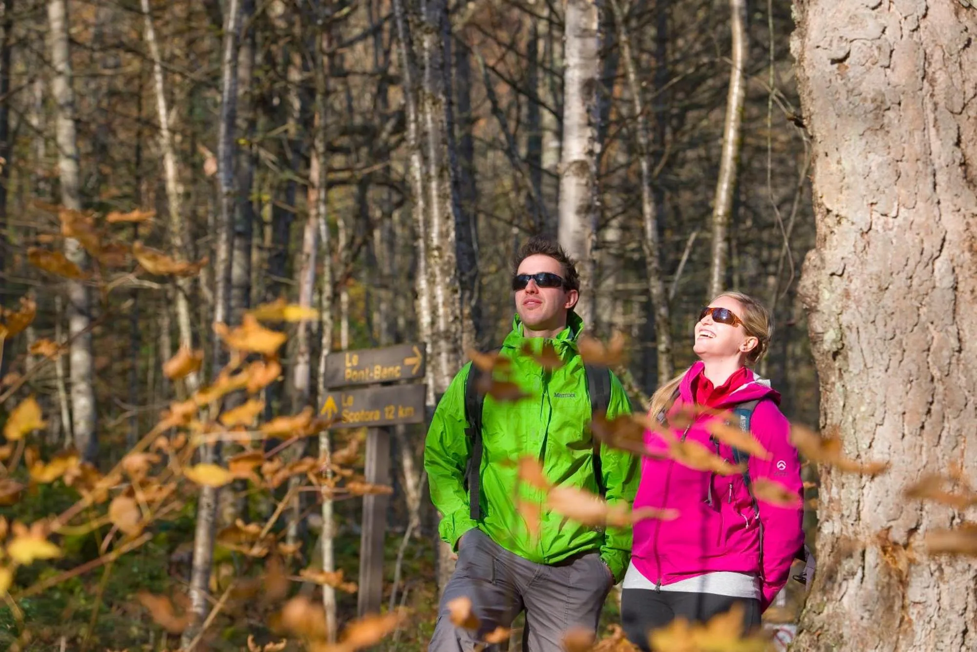 Hiking in Station Touristique Duchesnay - Sepaq