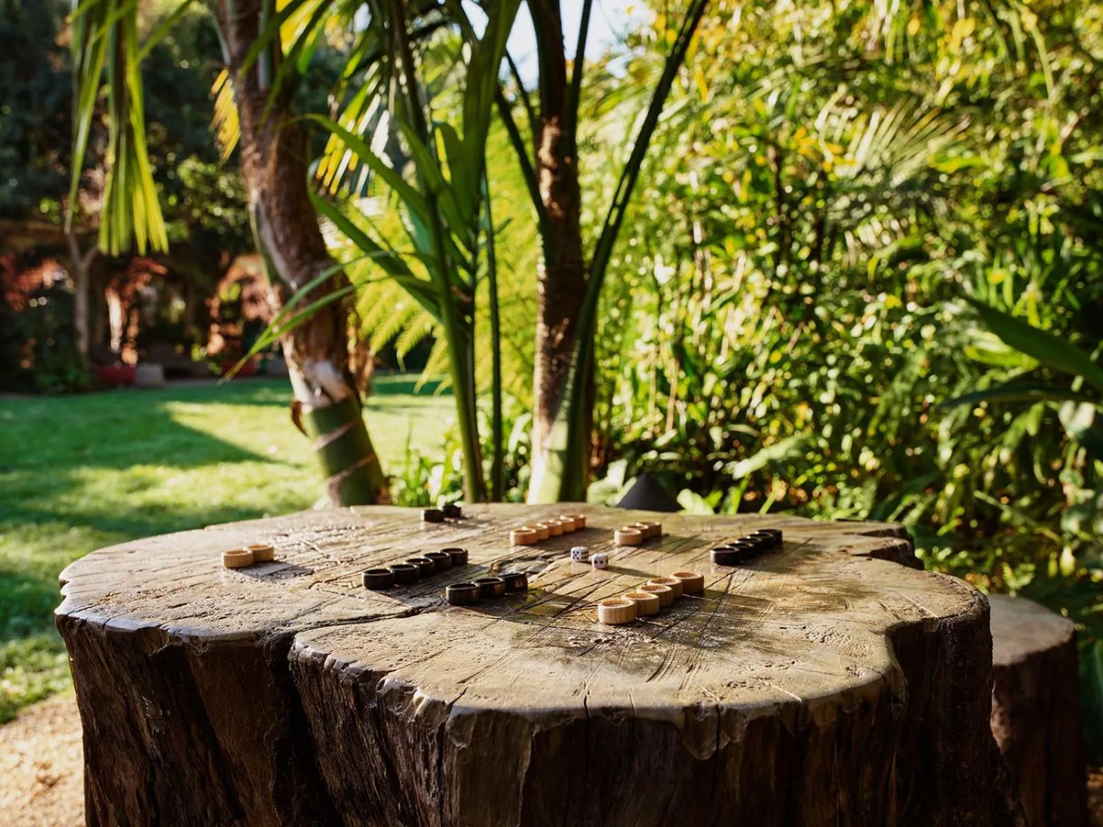 Garden in Hotel Bel-Air - Dorchester Collection