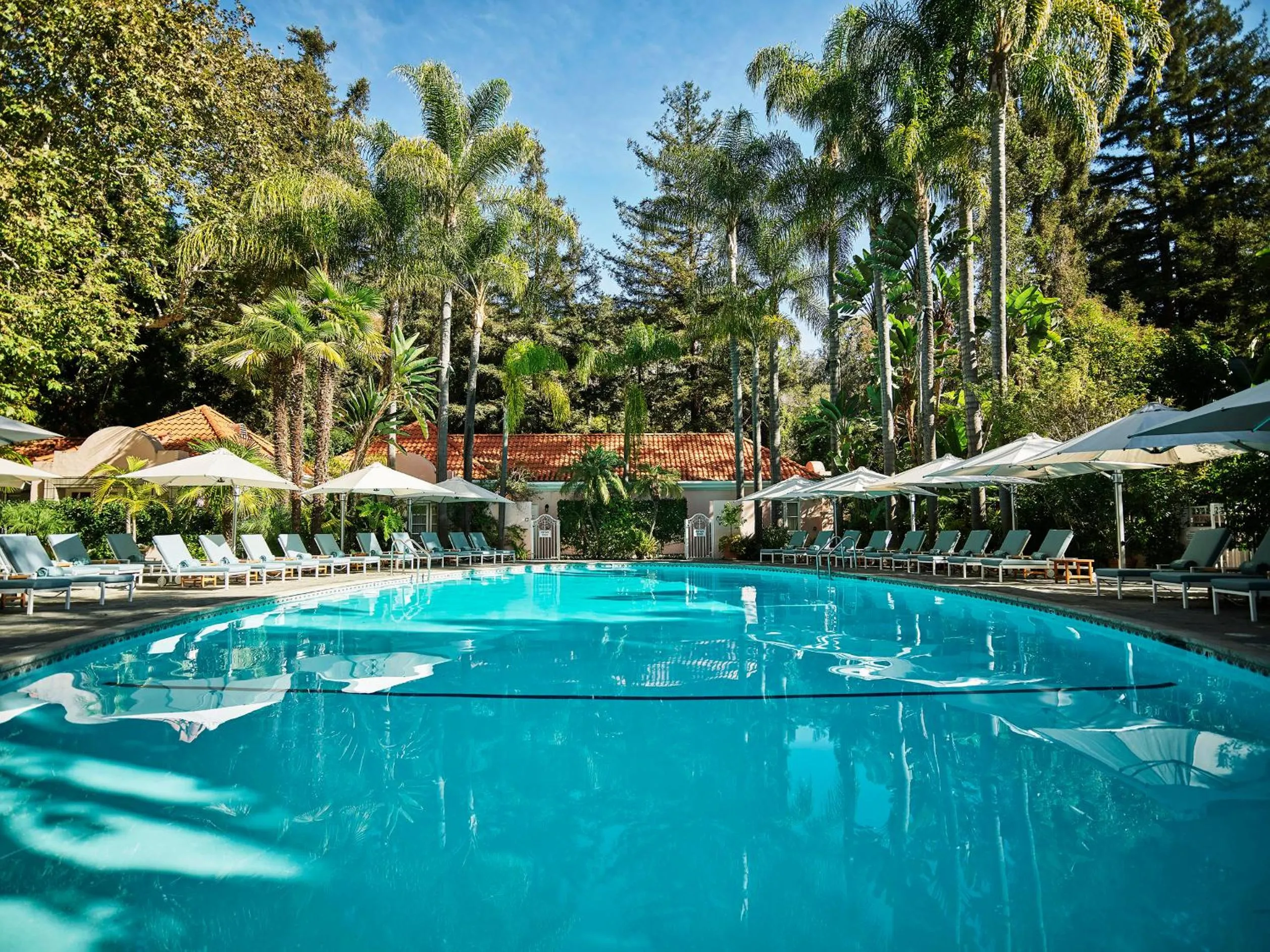 Swimming pool in Hotel Bel-Air - Dorchester Collection