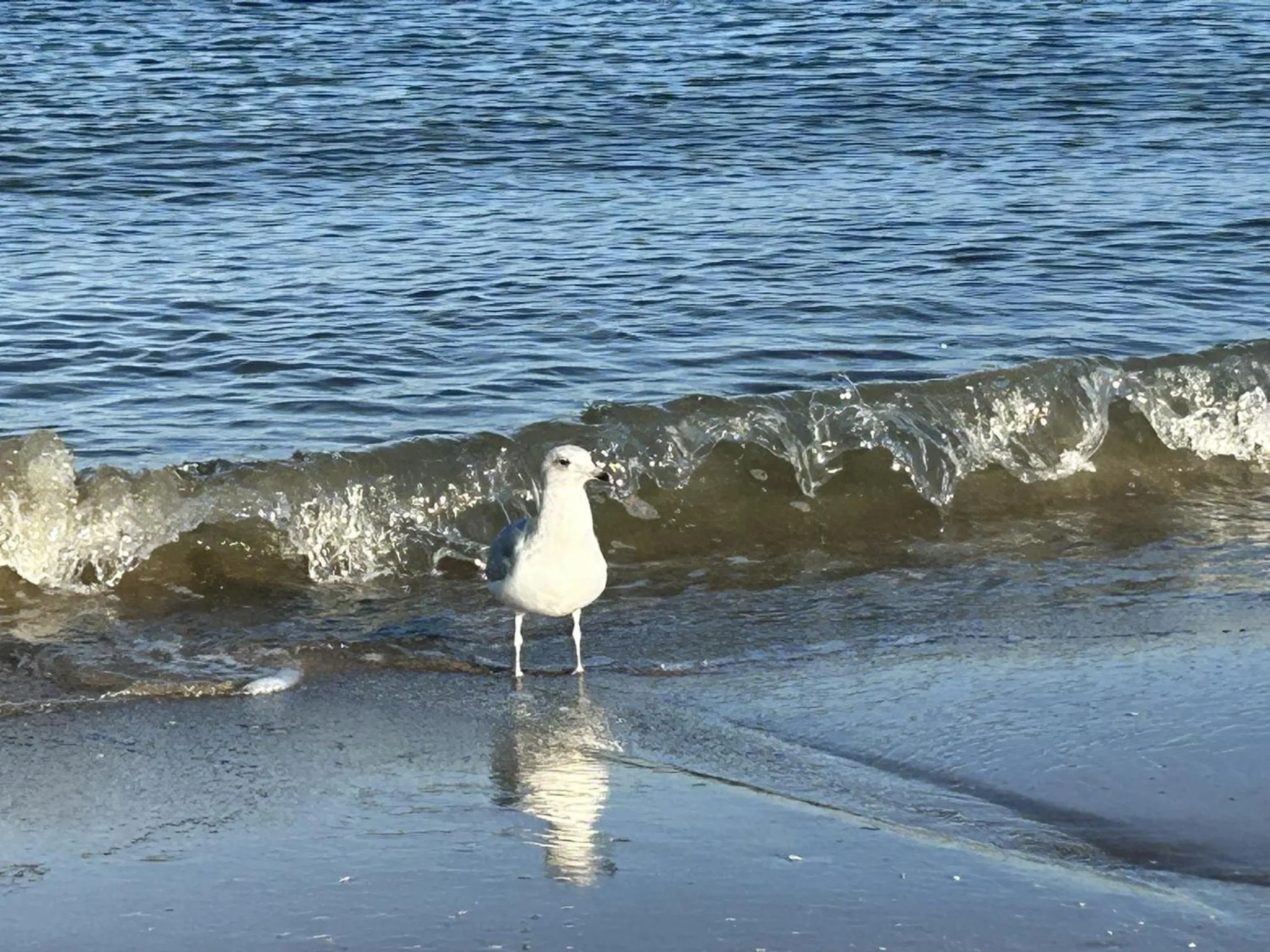 Beach in Pension Wald und See