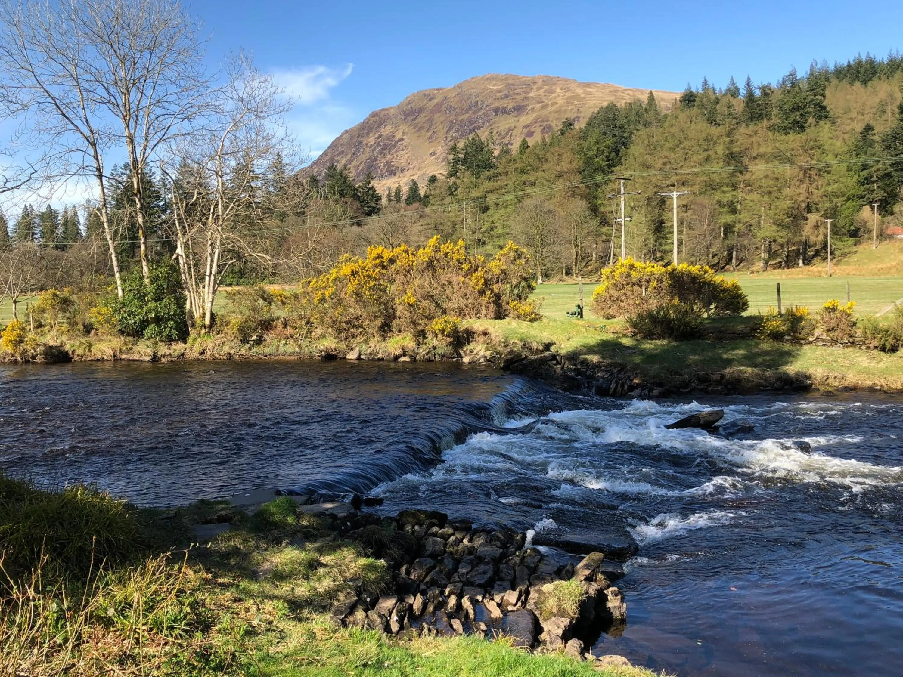 Natural landscape in The Wee Ludging Cottage, Rashfield, by Dunoon