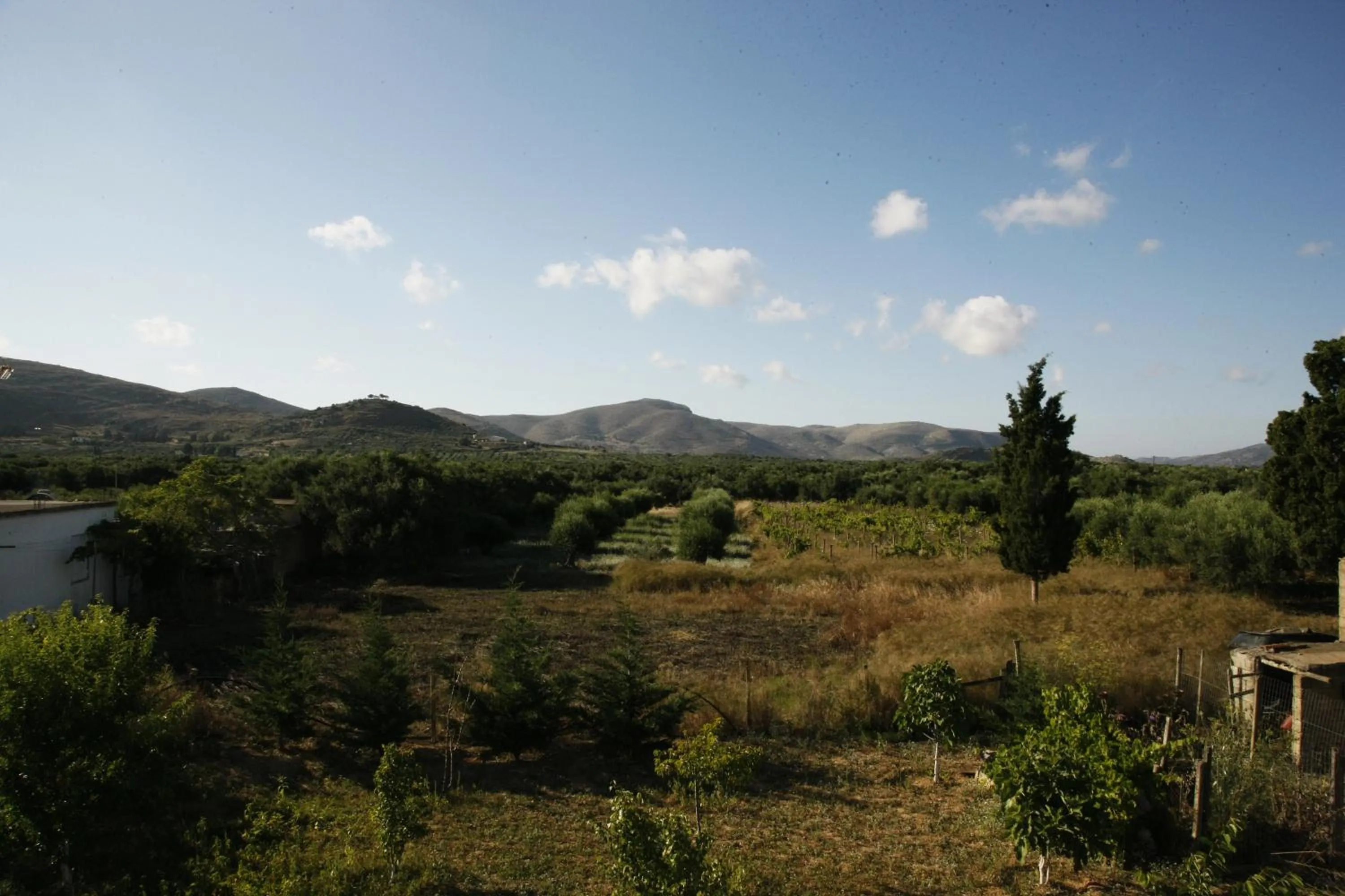 Garden view in Kalliopi Hotel