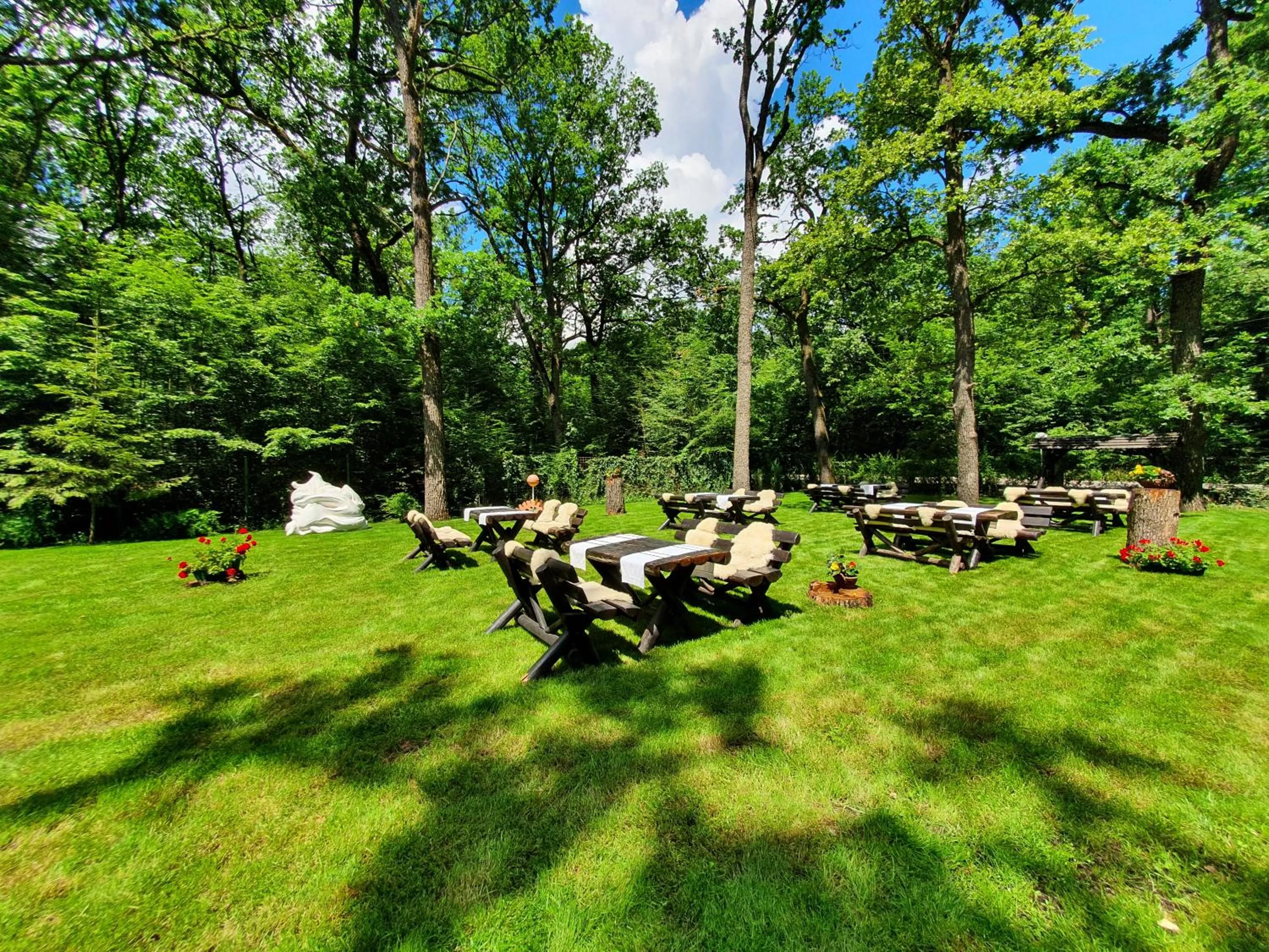 Bird's eye view in Hotel Cornul Vanatorului