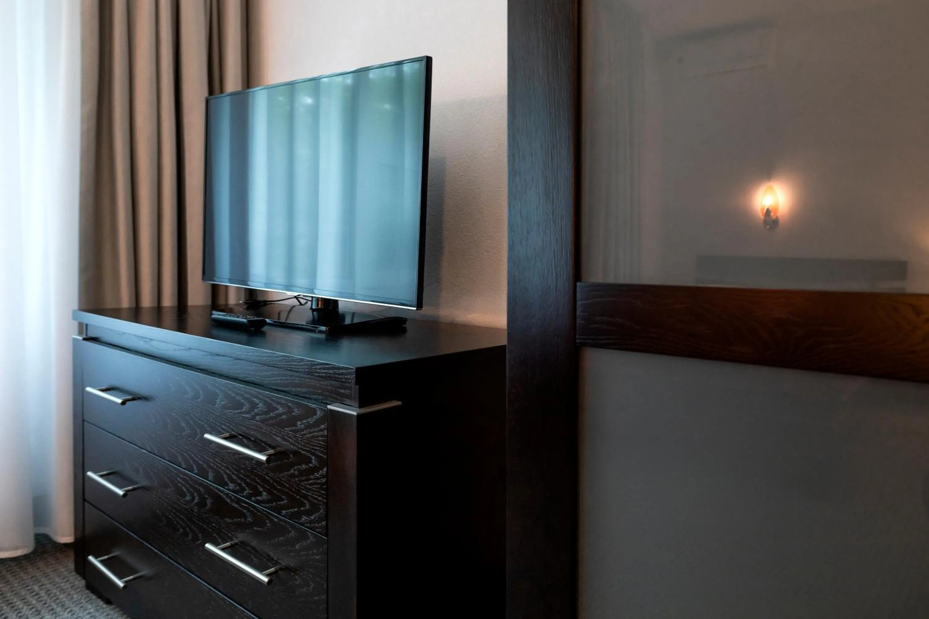 TV and multimedia in Hotel Cornul Vanatorului