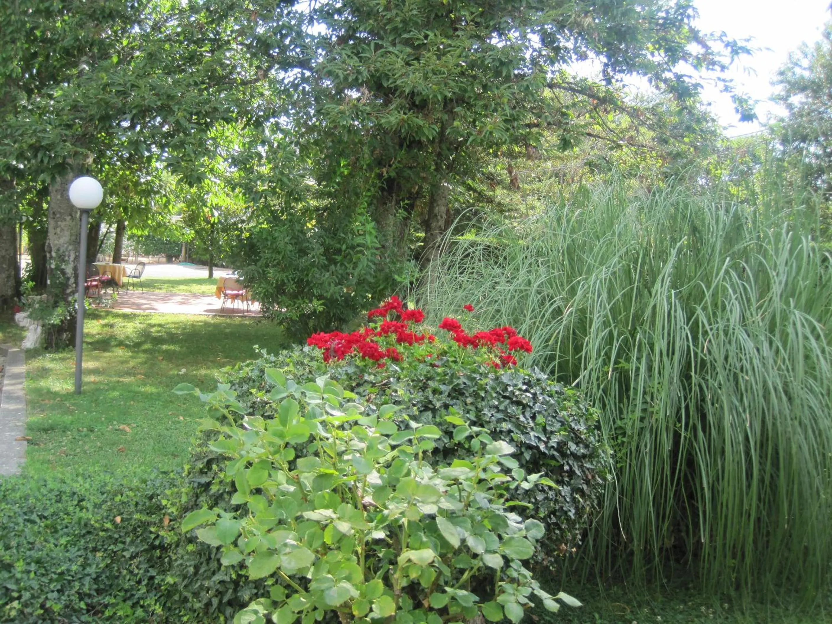 Garden in Hotel Gioia Garden