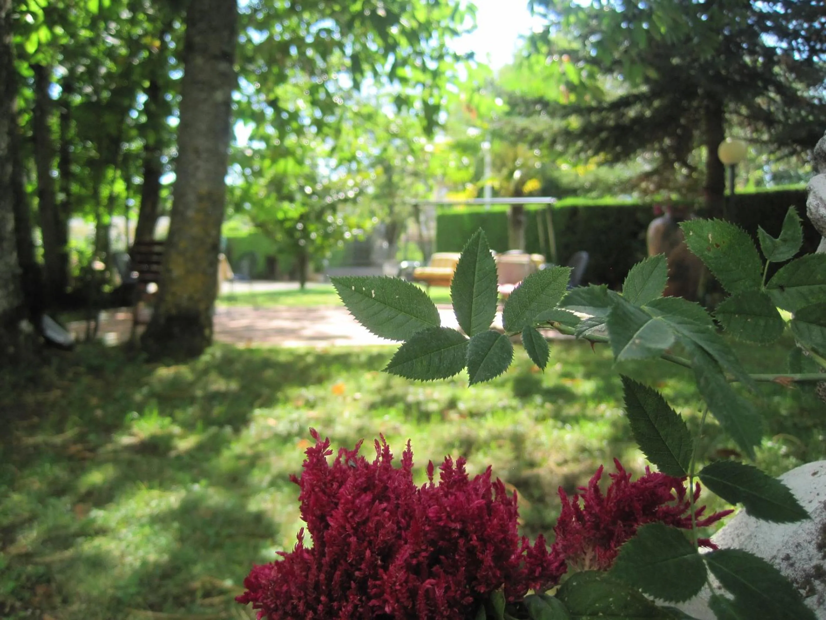 Garden in Hotel Gioia Garden