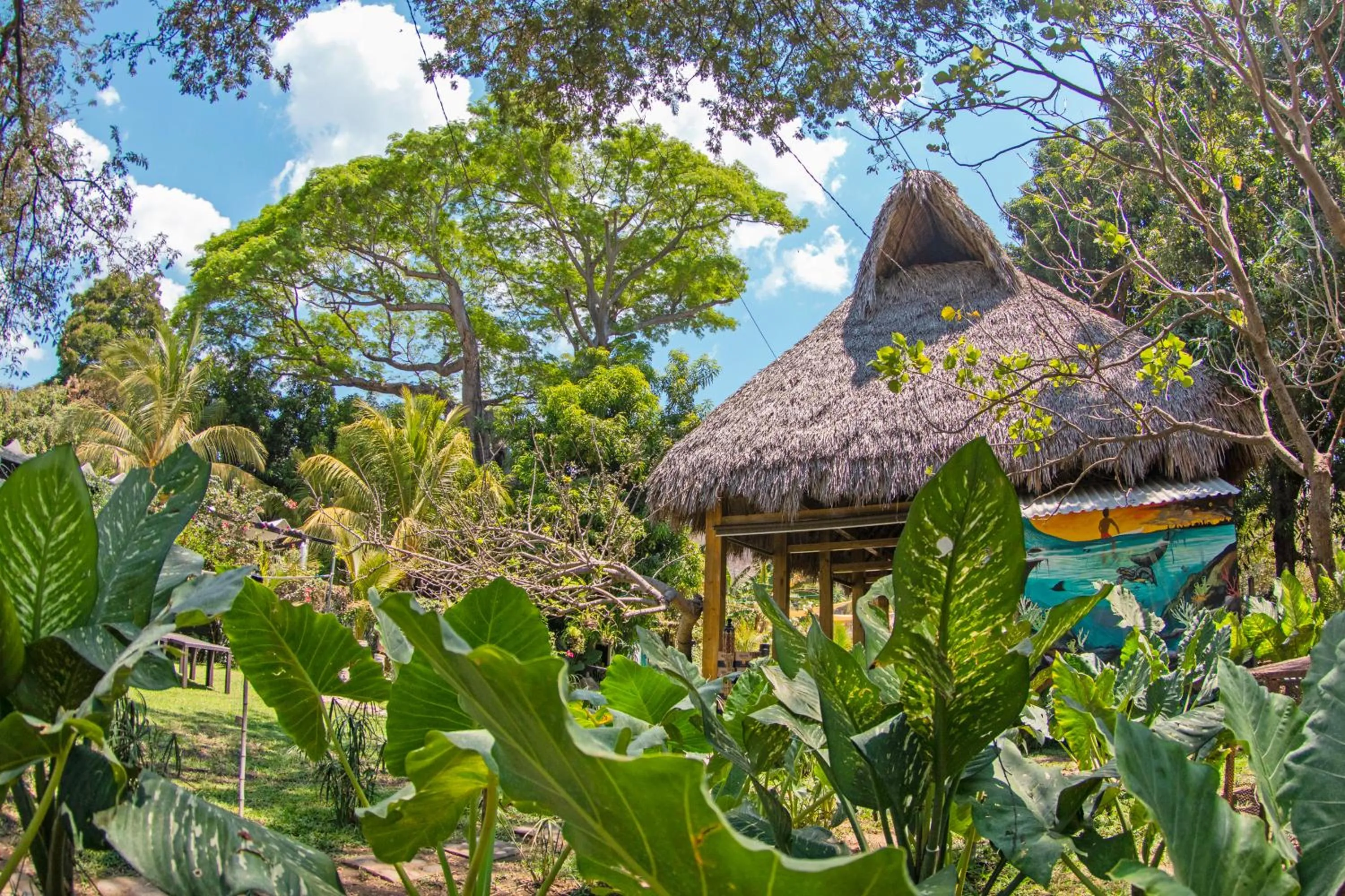 Property building in Hotel Michanti