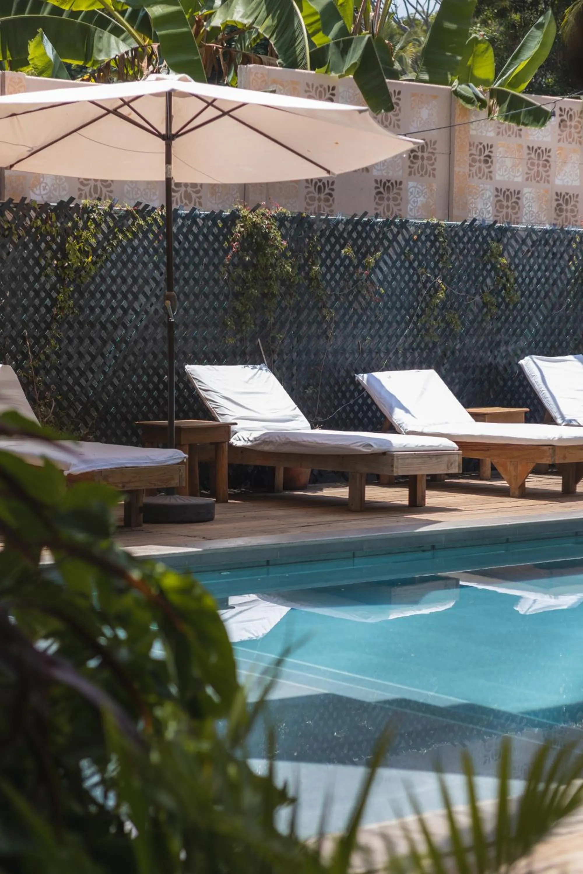 Swimming pool in Hotel Michanti