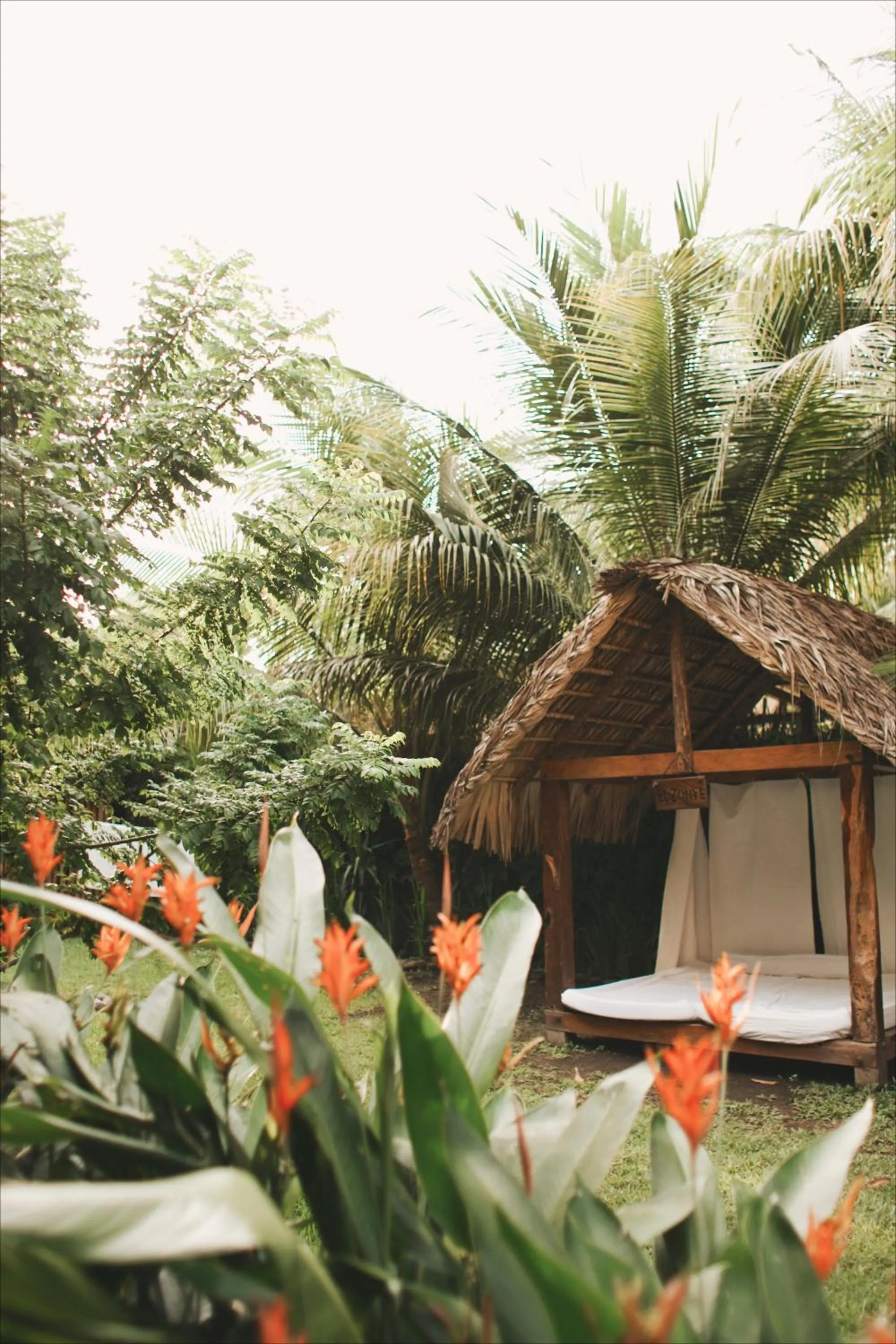 Property building in Hotel Michanti