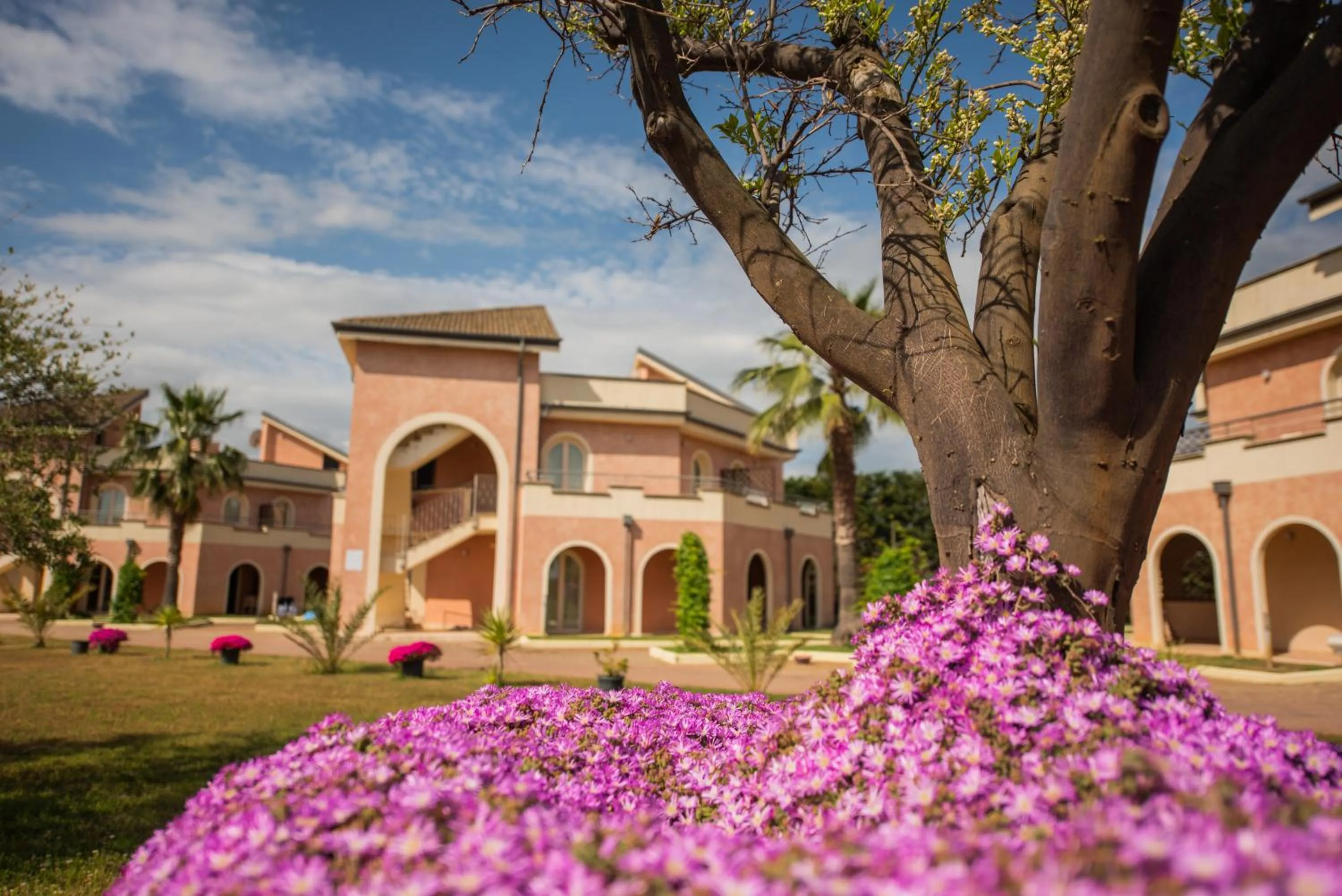 View (from property/room) in BV Airone Resort