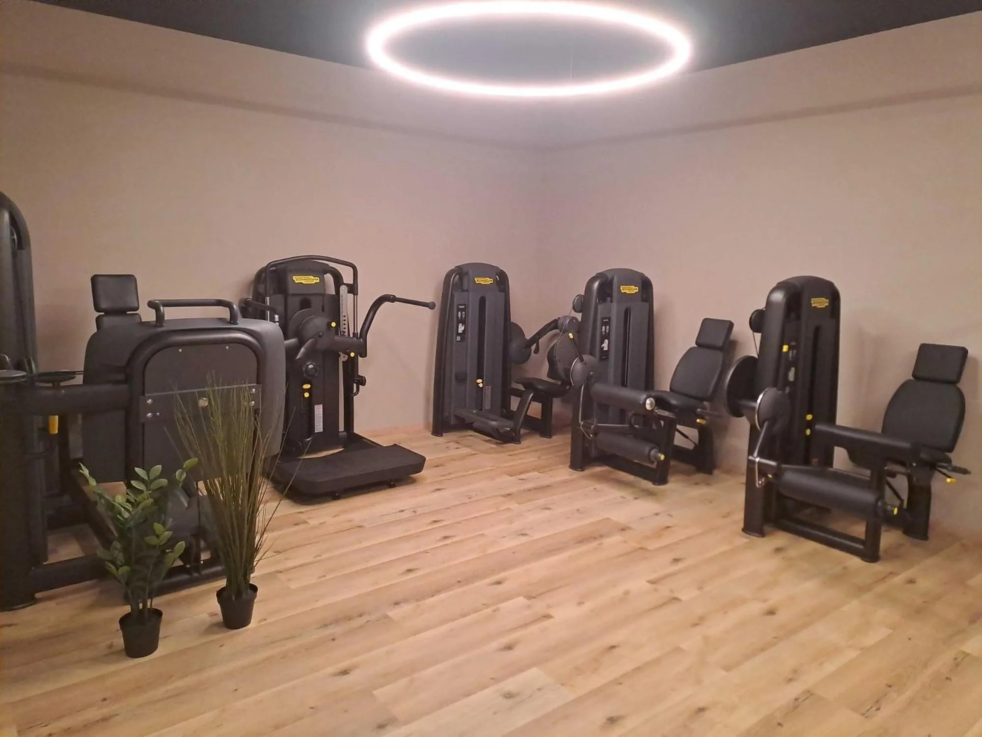 Fitness centre/facilities in Hotel Alla Dolina