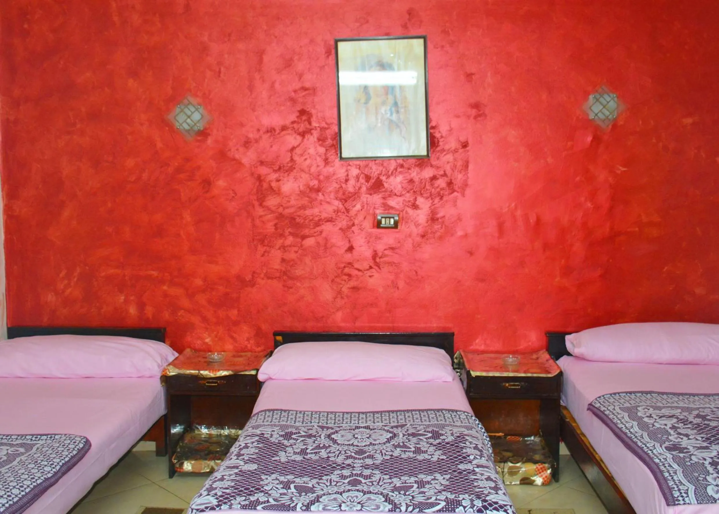 Bed in City Hostel