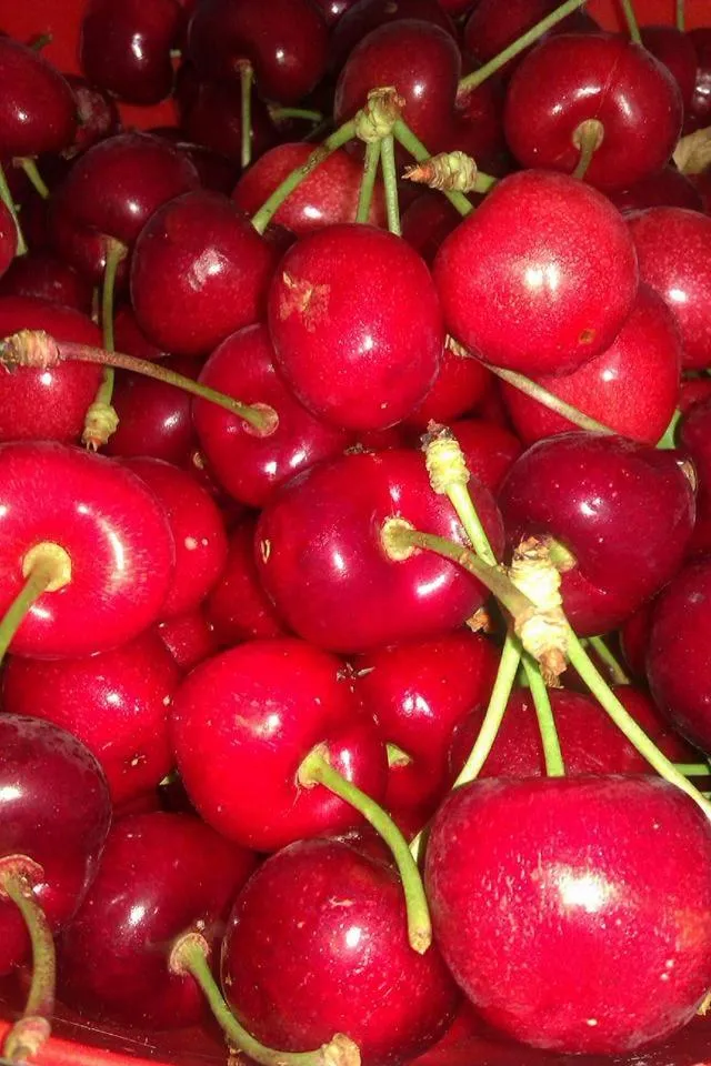 Spring in Trulli Villa Gloria