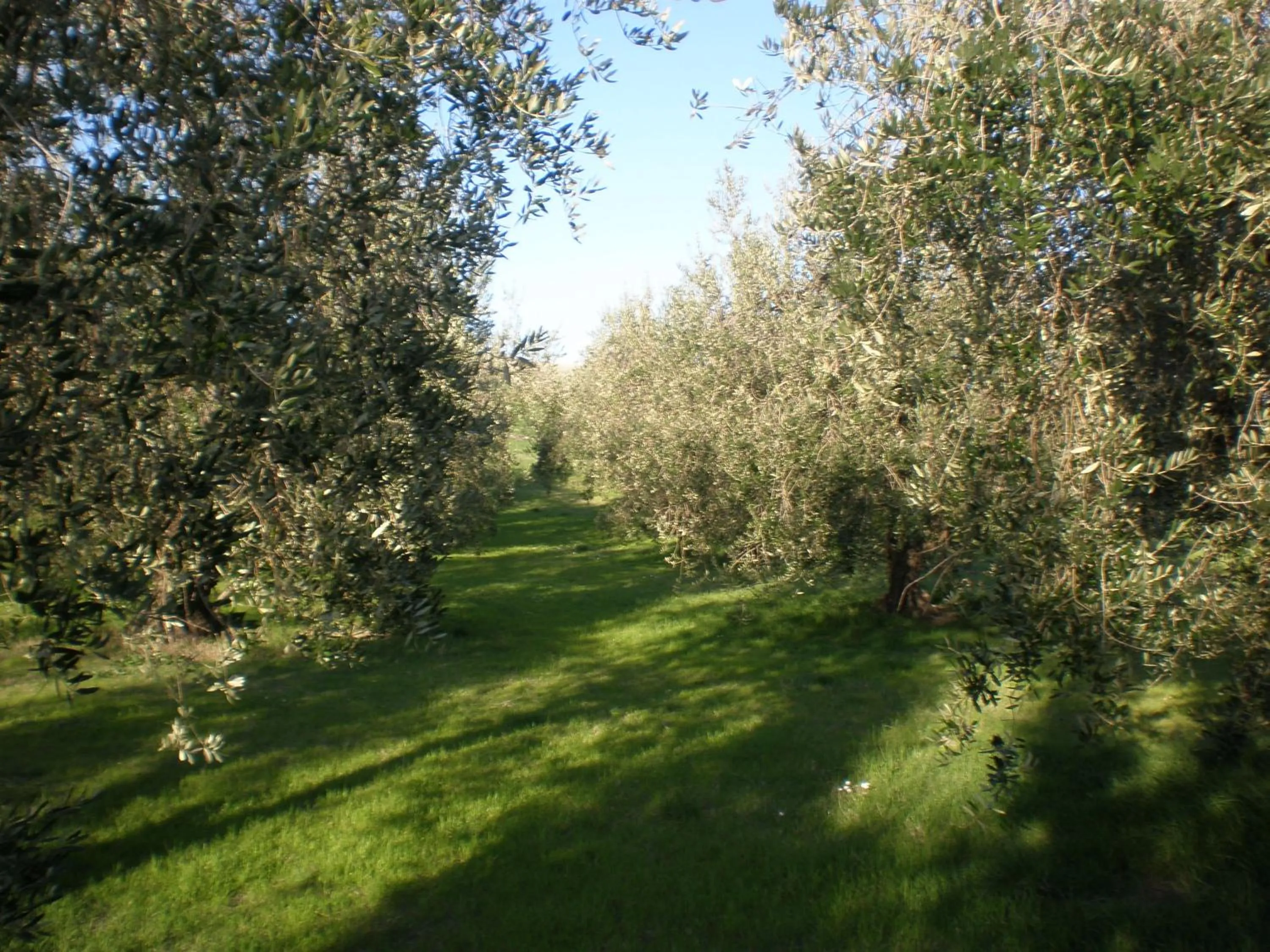 Other in Locanda La Gozzetta