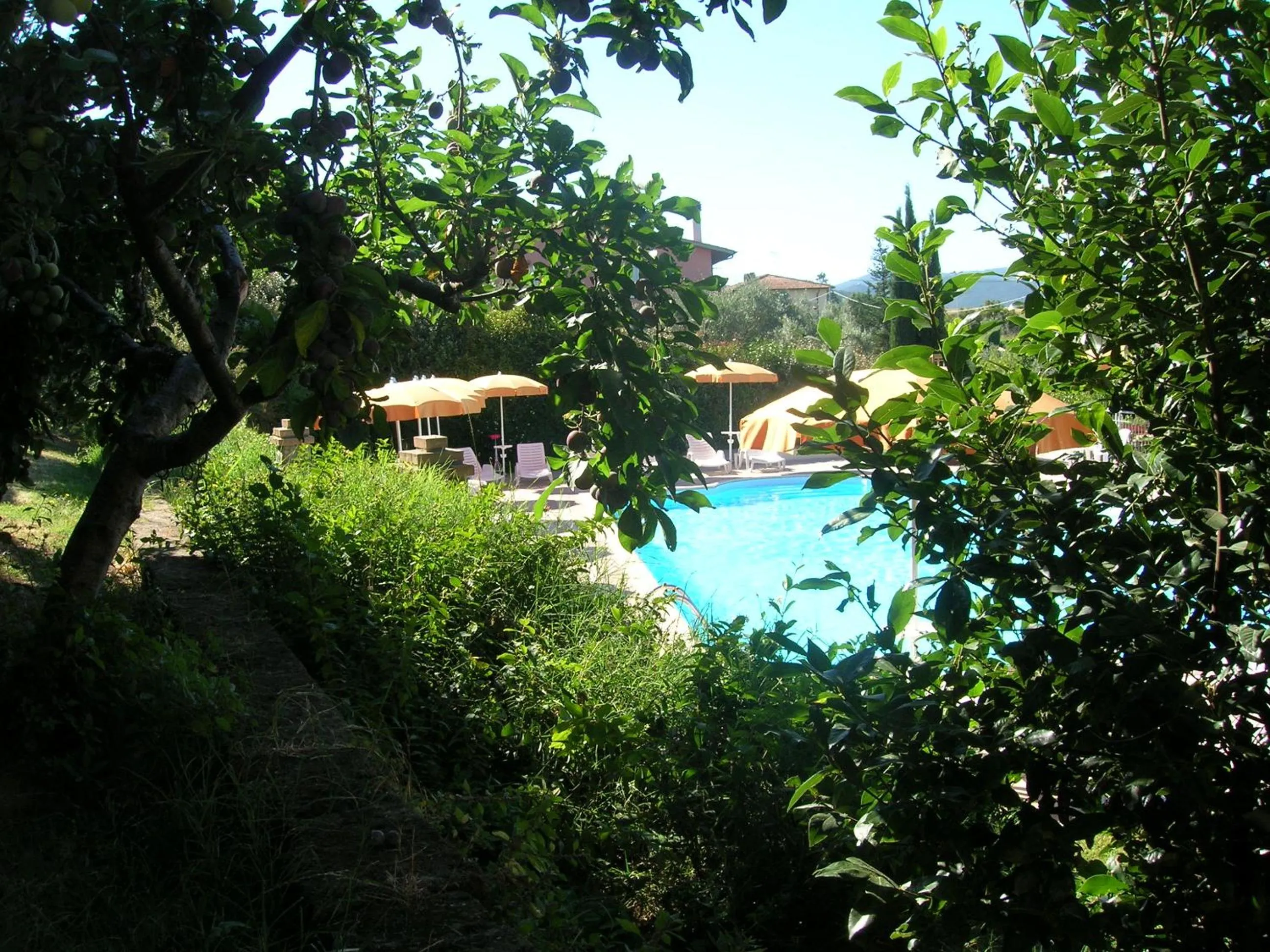 Pool view in Locanda La Gozzetta