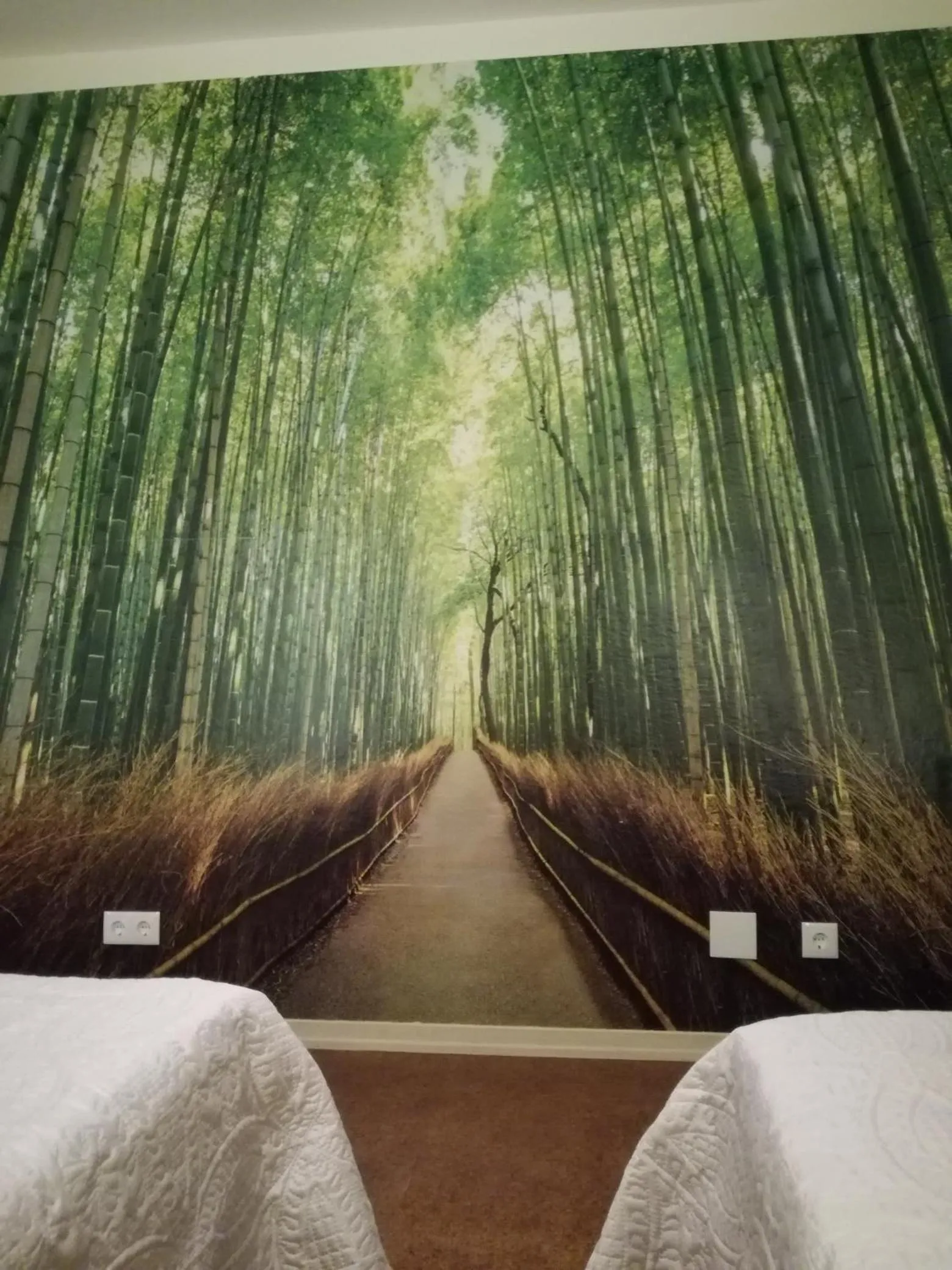 Sensations Guesthouse