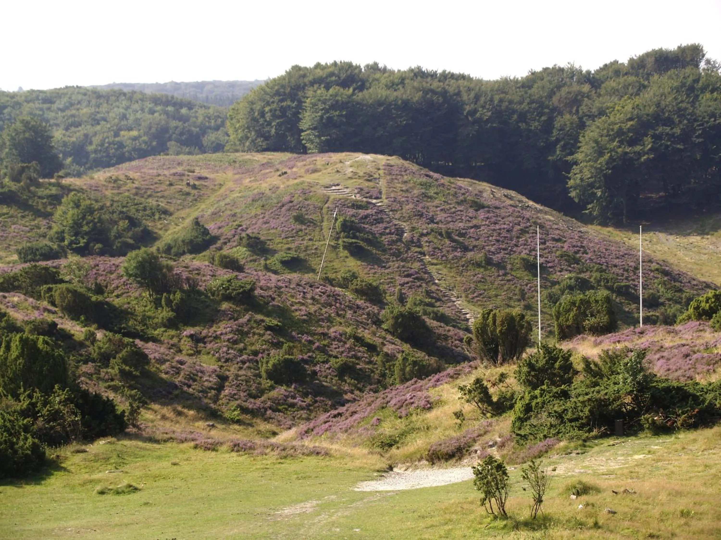 Nearby landmark in Rold StorKro
