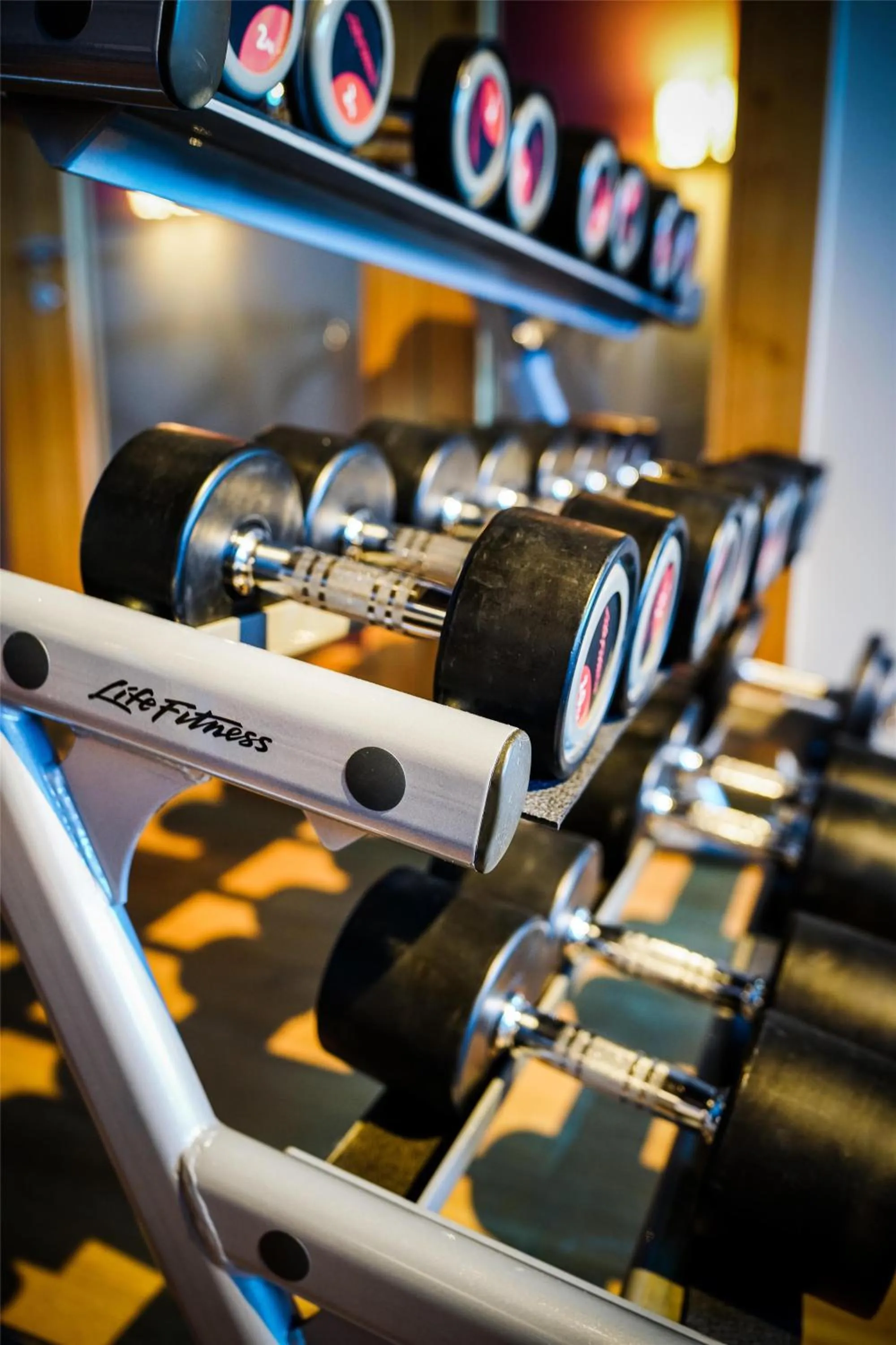 Fitness centre/facilities in Frutt Mountain Resort